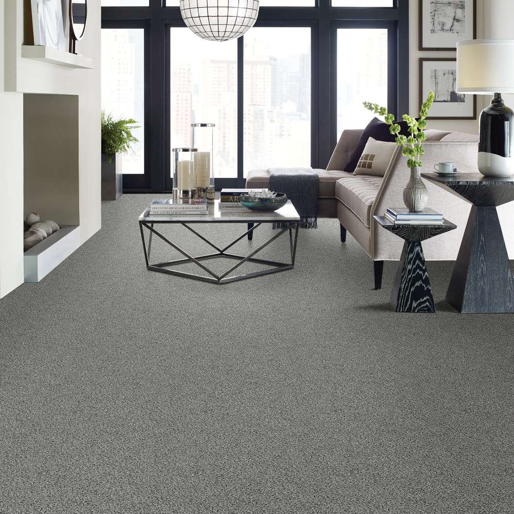 STAINMASTER Exquisite Accent II Lasting Moment (A) Textured Carpet ...