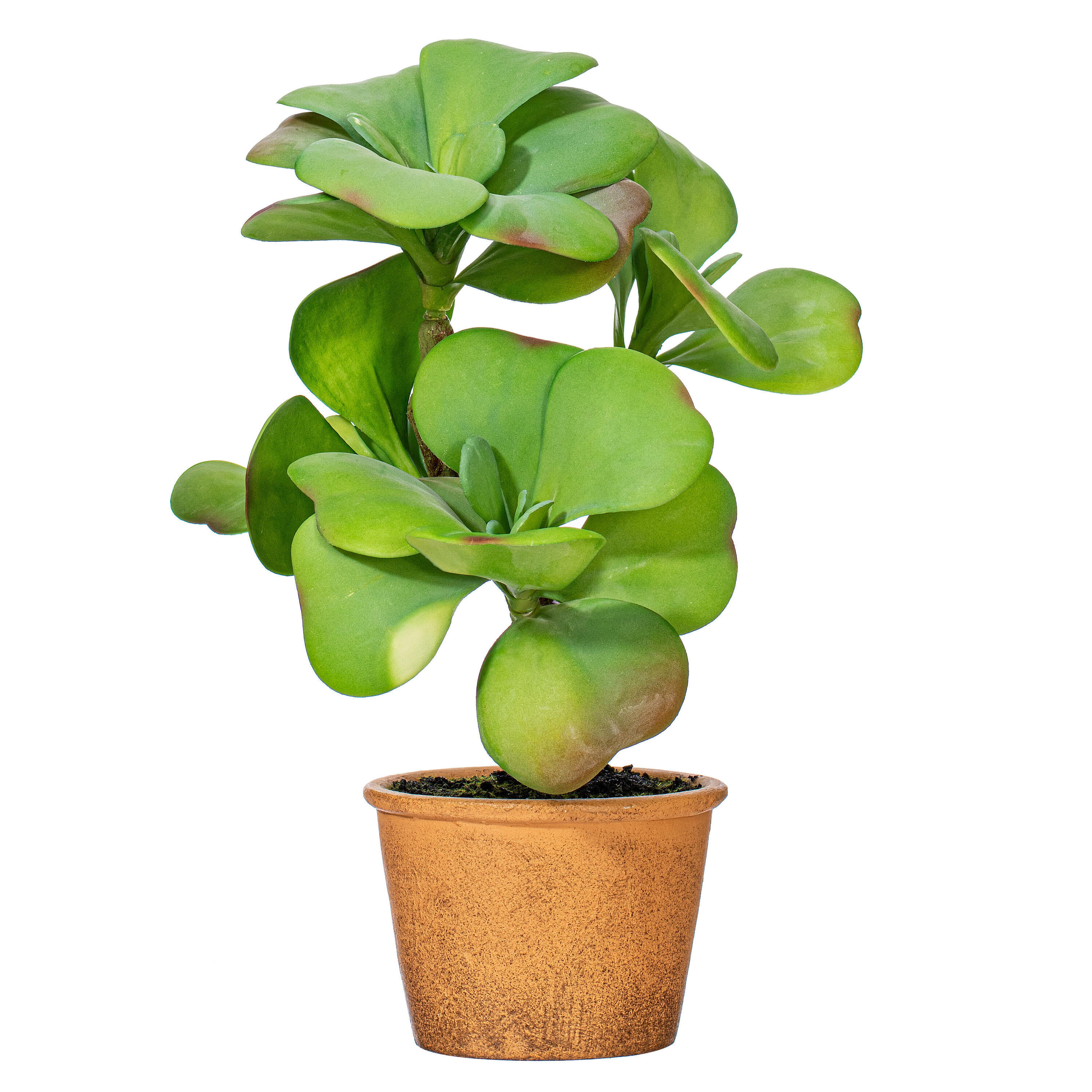 Vickerman FE191914 14-in Green Indoor Mixed Greenery Artificial Plant