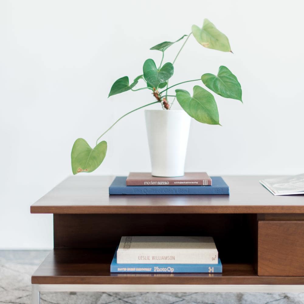 Gingko SCO540-WM Coffee-Tables - View #2