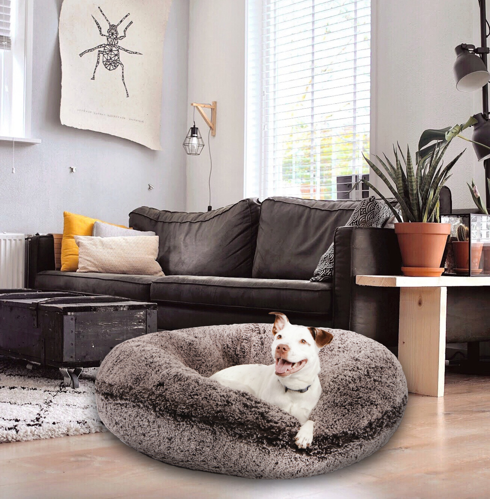 Bessie & shop barnie dog beds