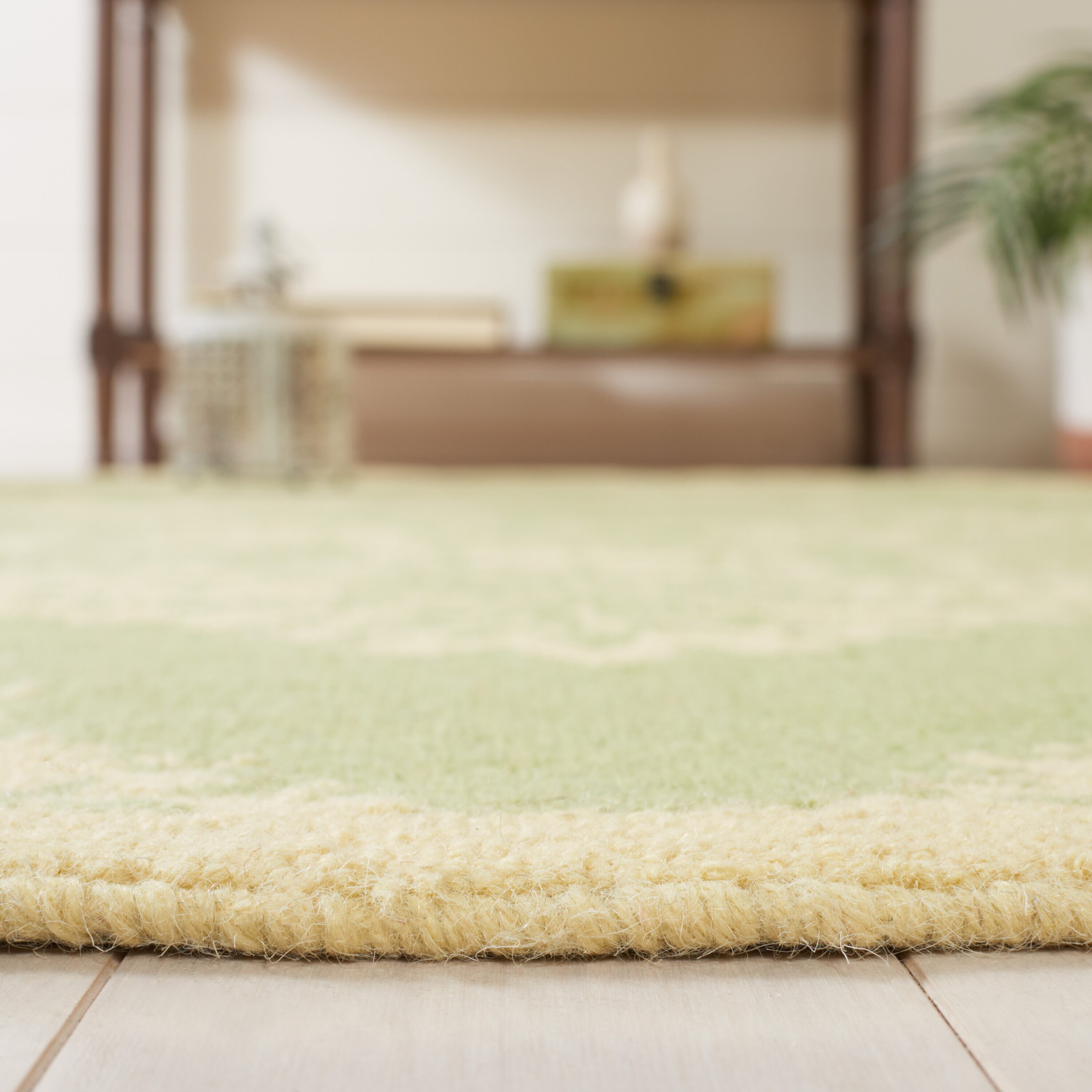 Safavieh HK359B-5R rugs - View #4