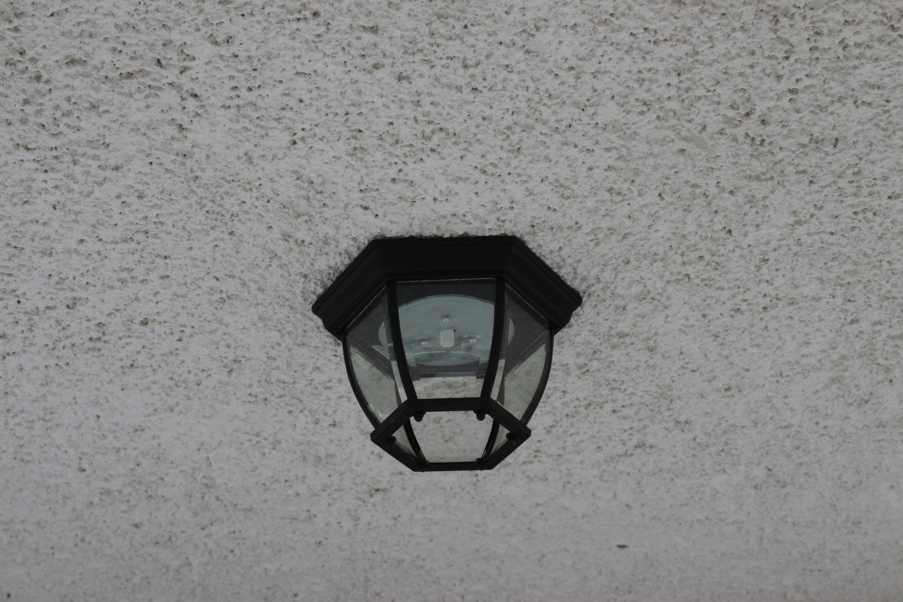 Black Glass LED Indoor/Outdoor Ceiling Light