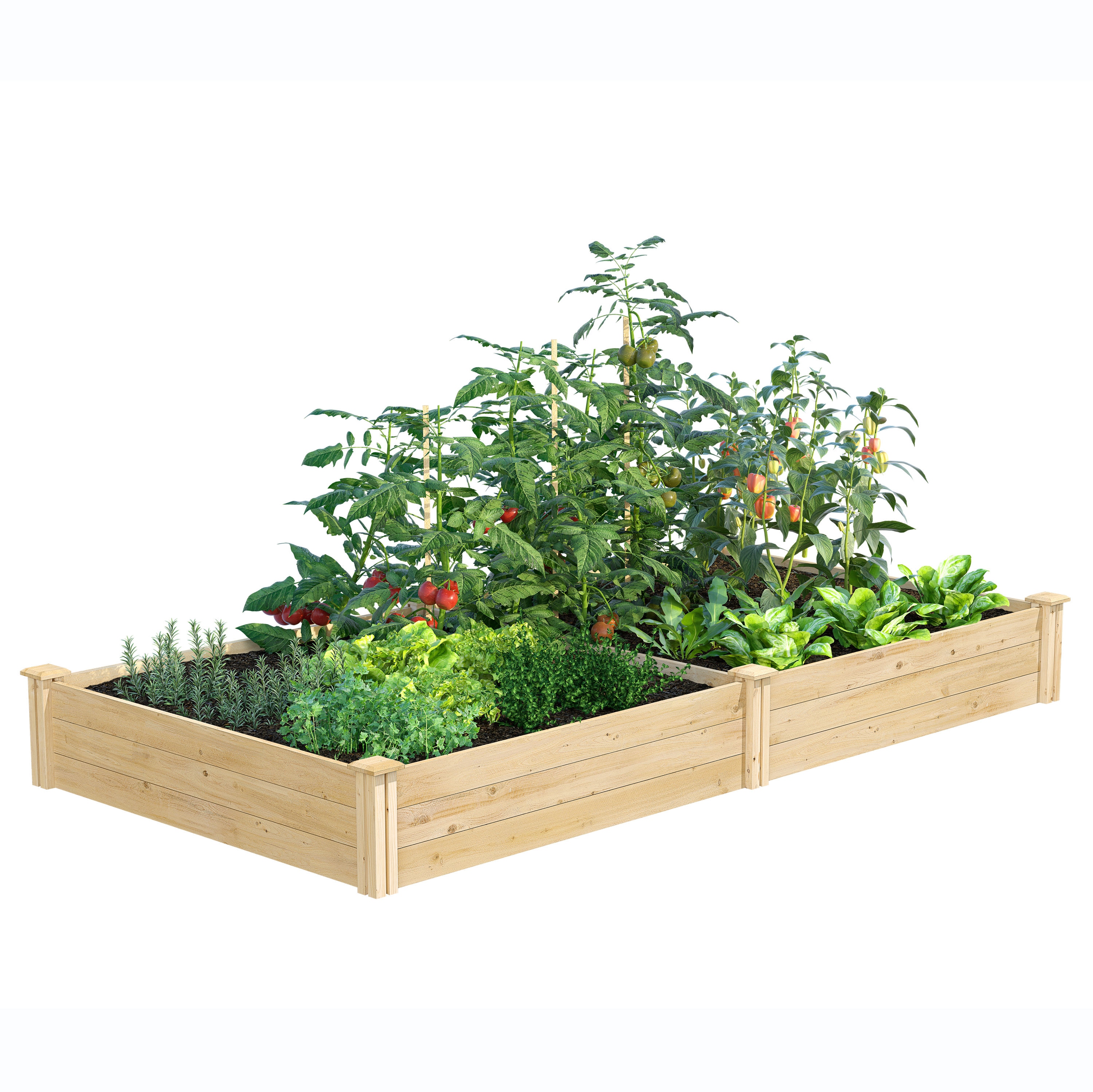 Greenes Fence Cedar Raised Garden Beds at Lowes.com