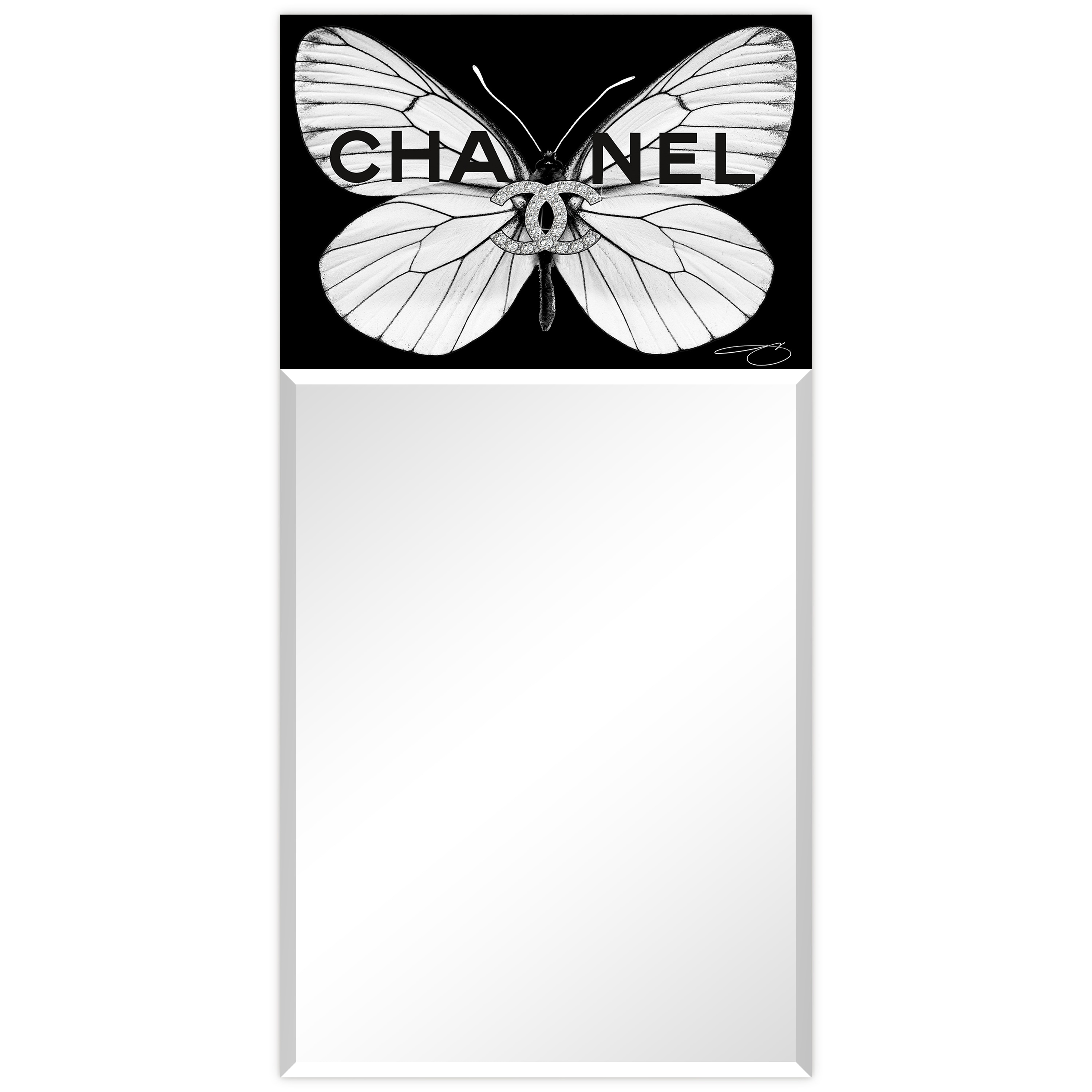 Empire Art Direct TAM-JP6060-4824T Tempered Glass Frame Wall Mirror 24-in W x 48-in H Black Beveled Wall Mirror