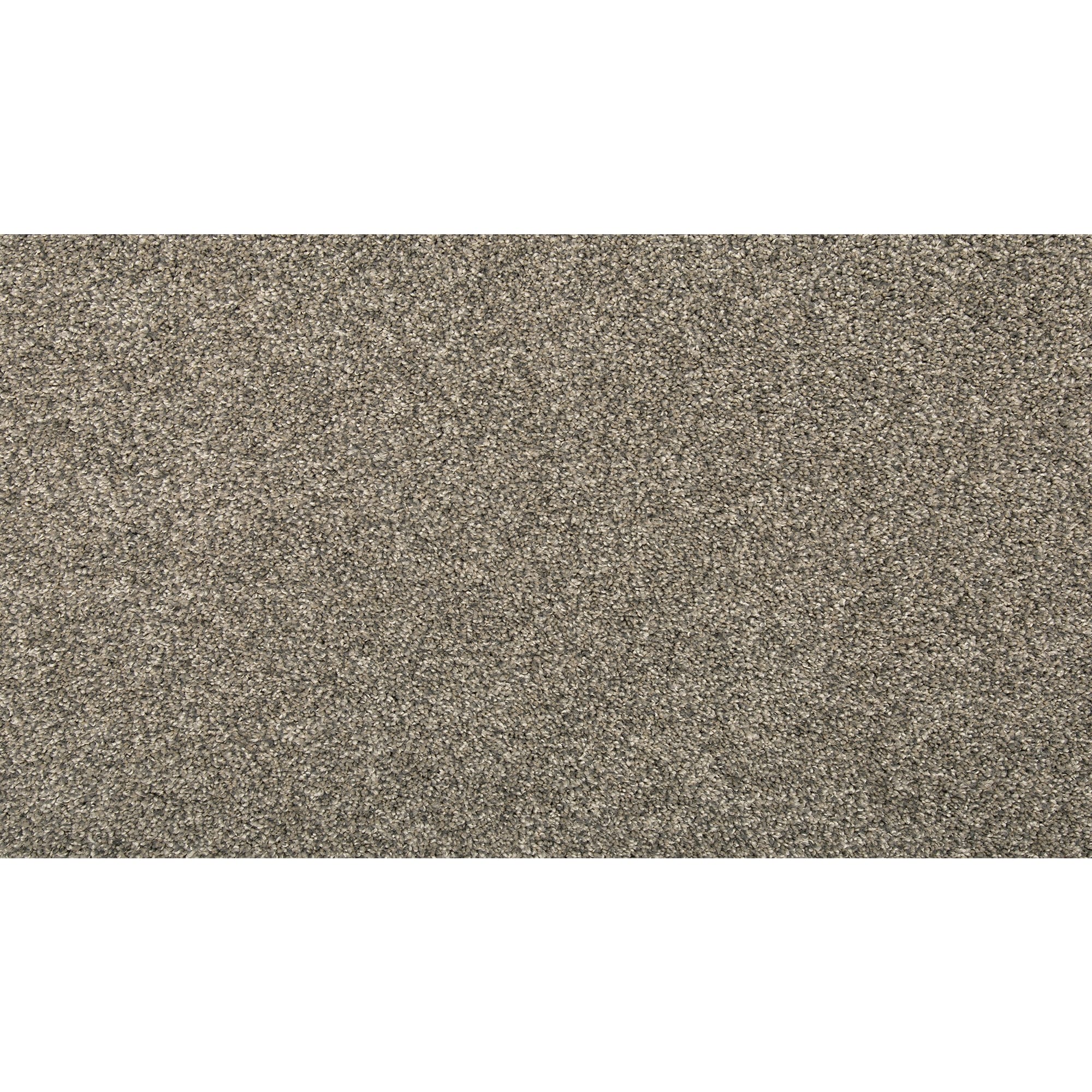 Mohawk SS026-L003-0808 (Sample) Pro Renovations - Inspired Ace Pro Metal Pole Gray 29-oz sq yard Solution-dyed polyester Textured Indoor Carpet