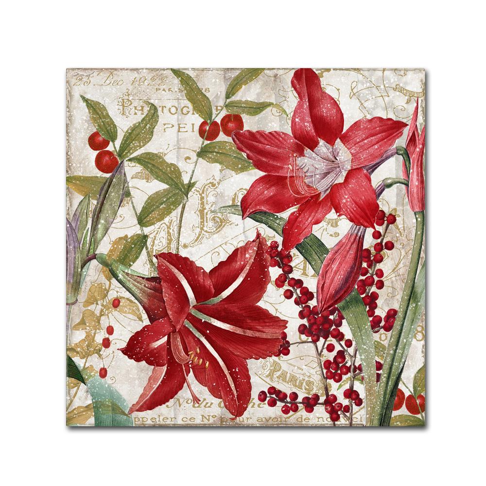 Trademark Fine Art ALI4763-C1414GG Framed 14-Inches H x 14-Inches W Floral Canvas Print
