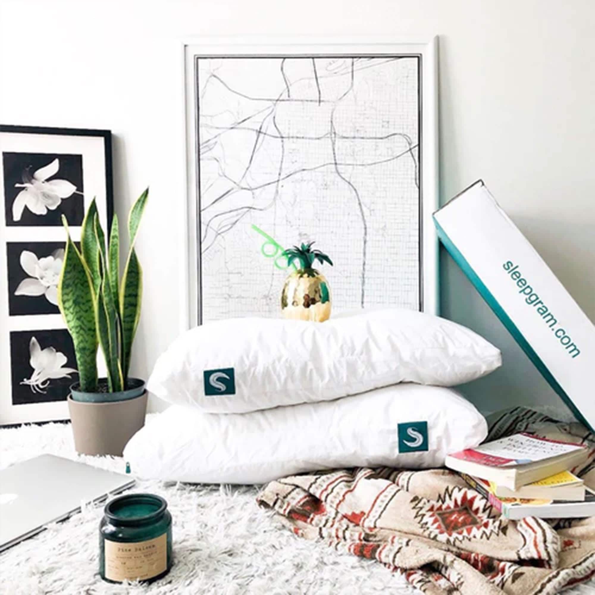 Sleepgram 298898 Bed-Pillows - View #3