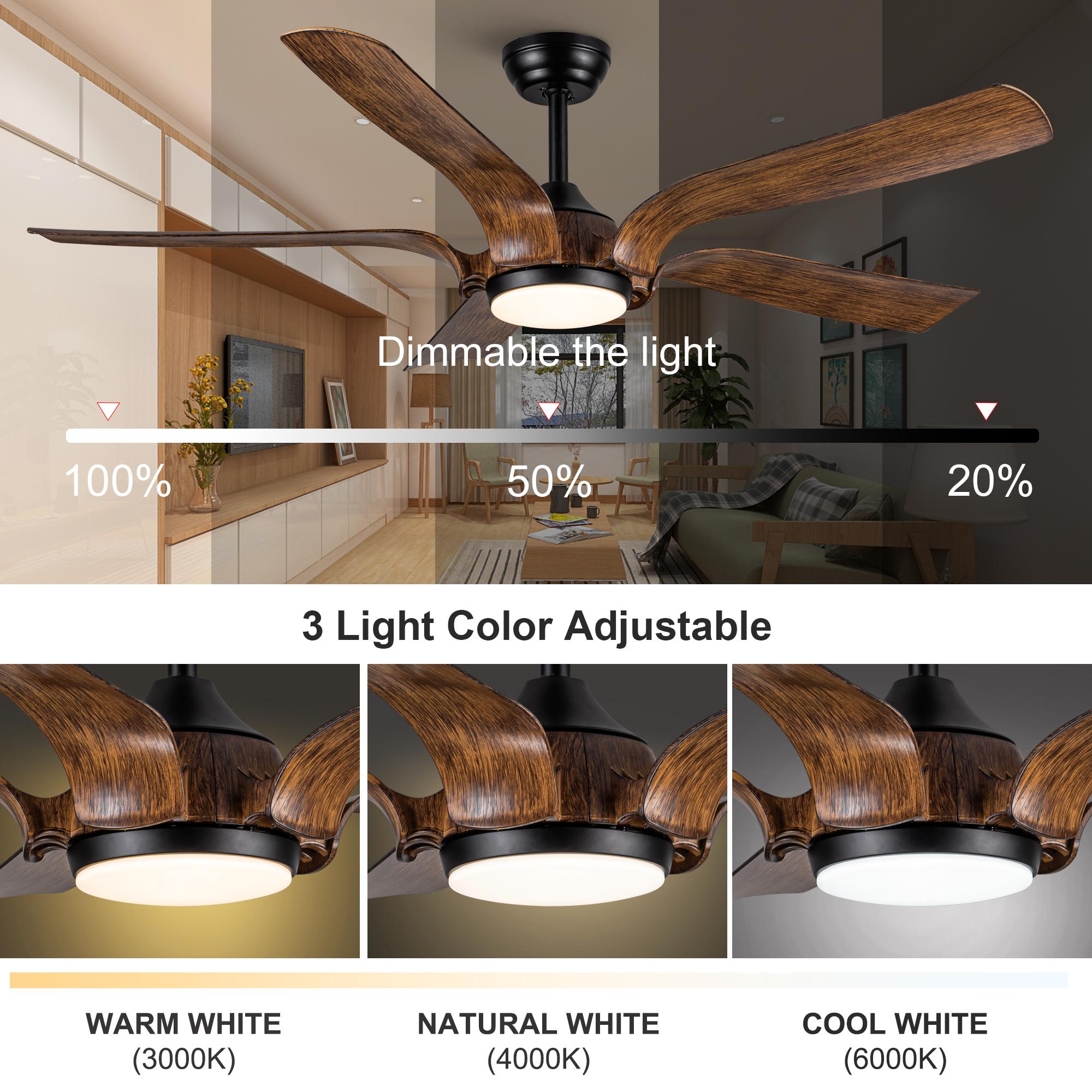 Bayfeve BFYH-21898-CF Ceiling-Fans - View #7