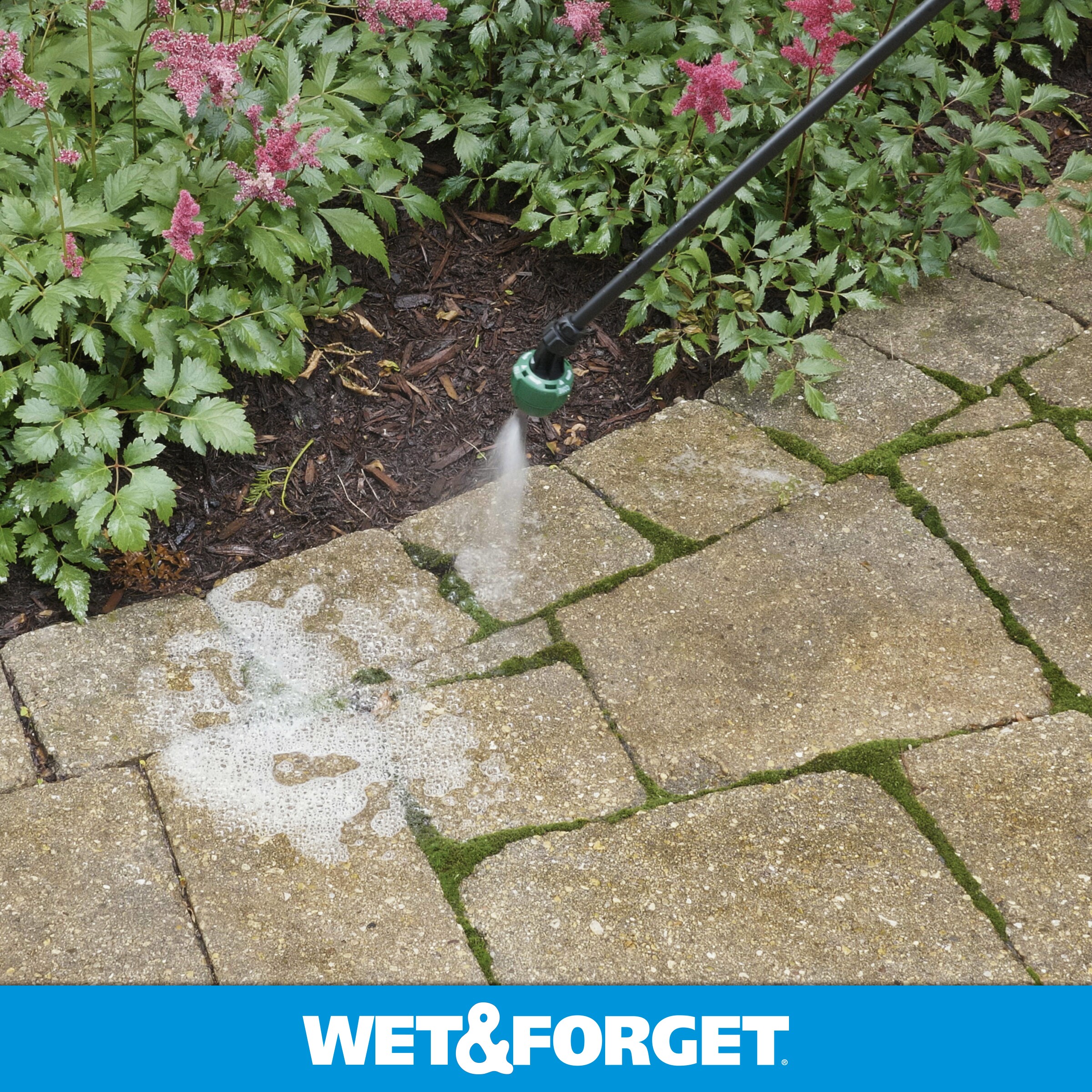 Wet and 1Gallon Multisurface Concentrated Outdoor Cleaner in