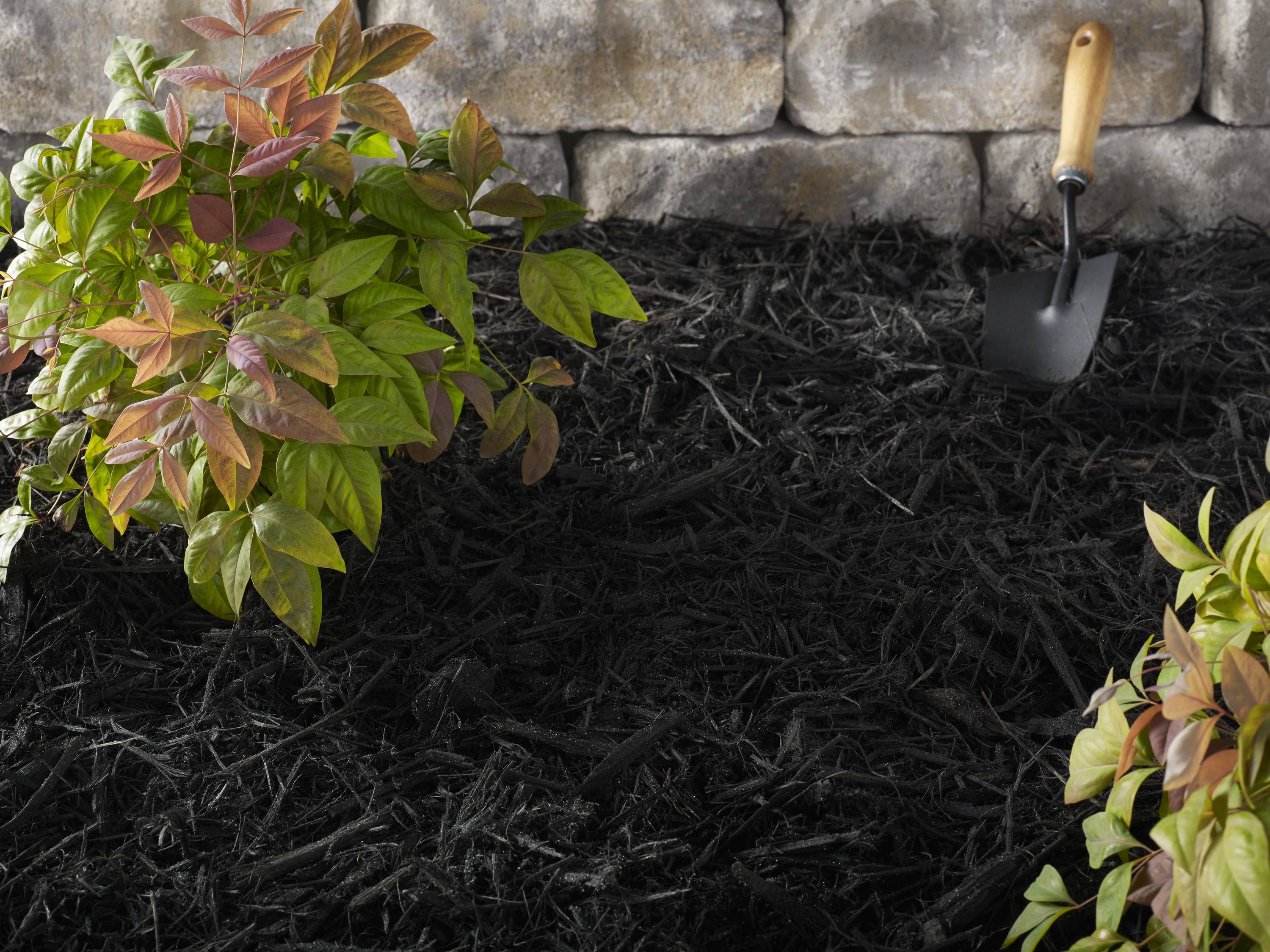 Lowes Mulch Sale: 5 for $10 Sale Dates in 2023 | TLR