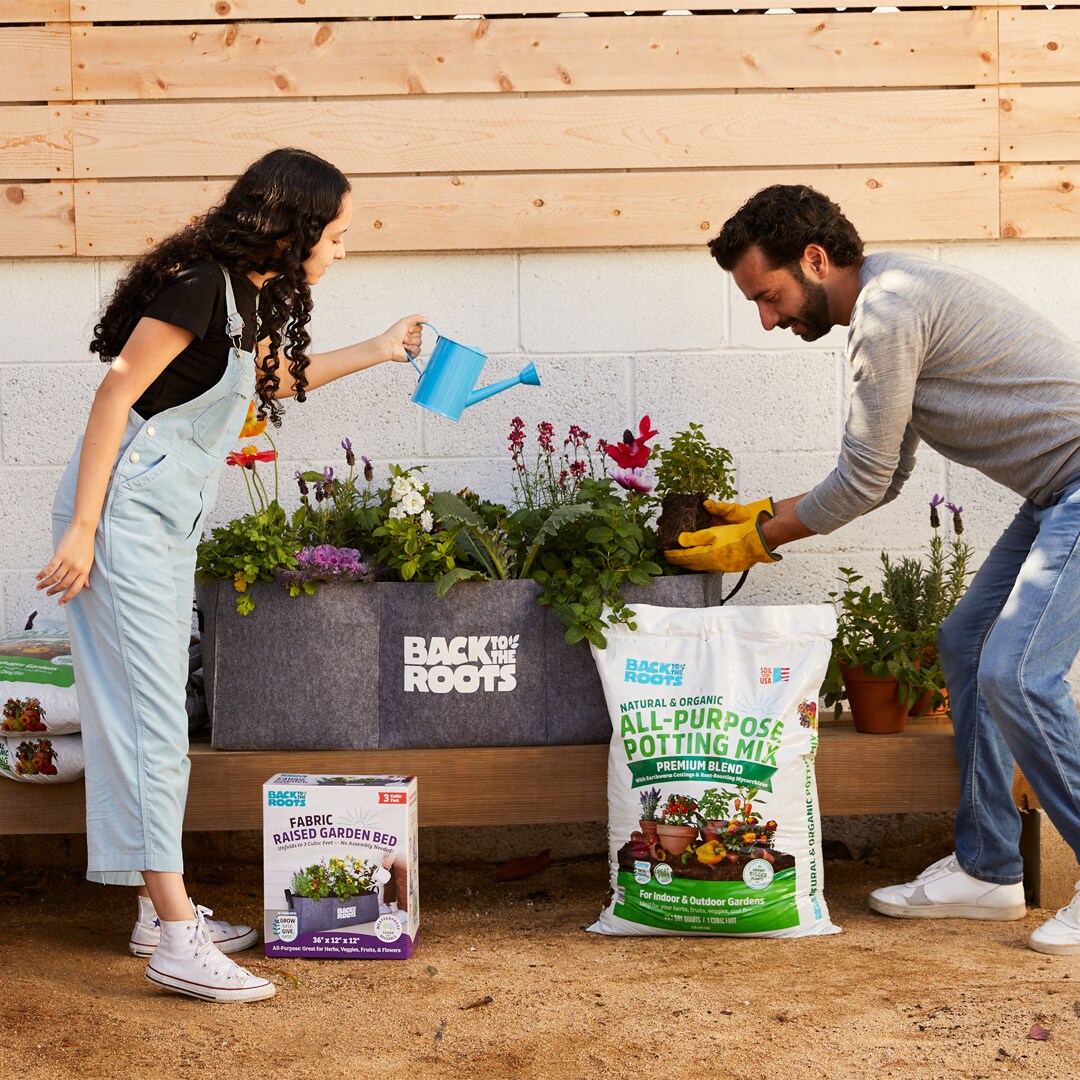 Back to the Roots 47001 Garden-Soil-Soil-Amendments - View #12