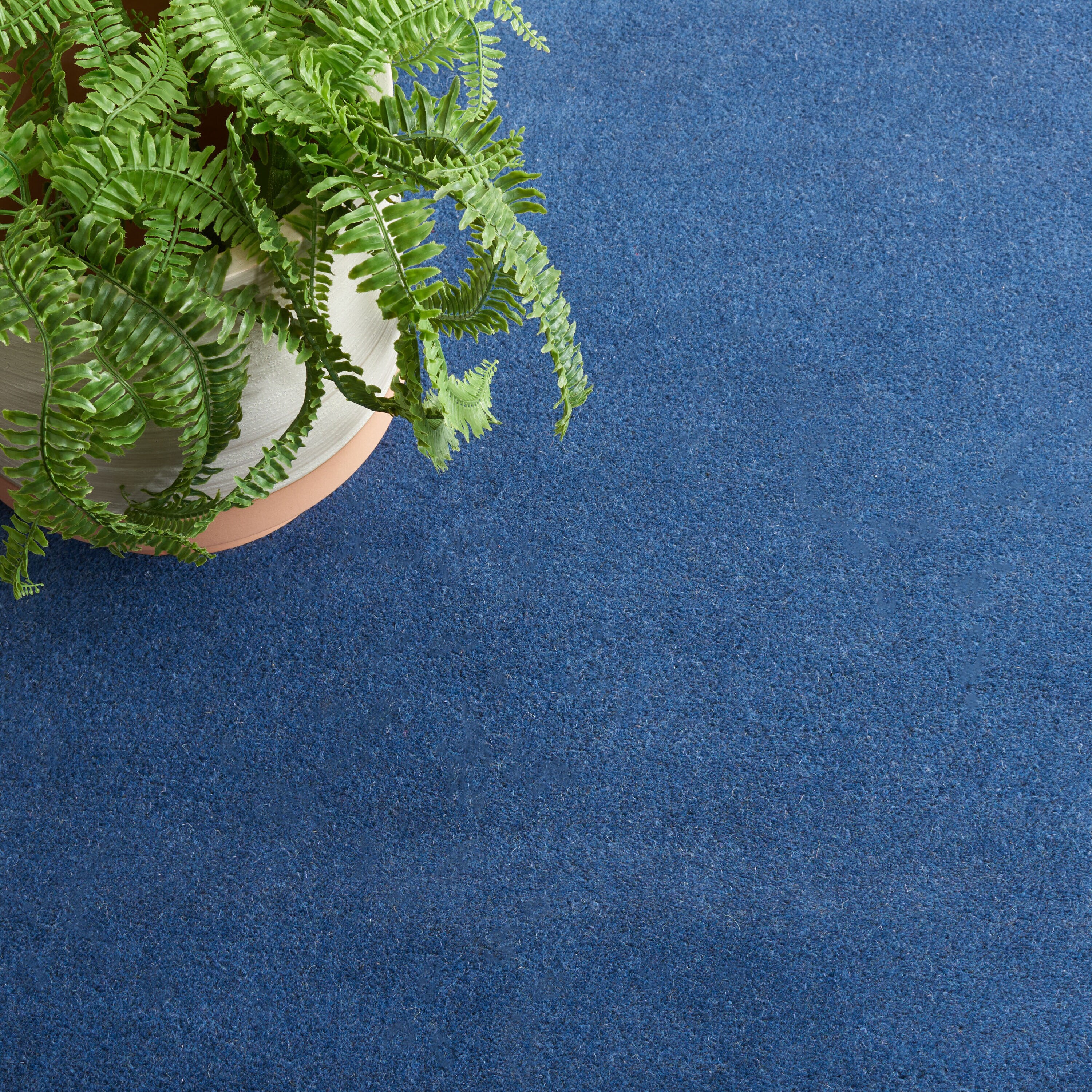 Safavieh BEL151G-5 rugs - View #6