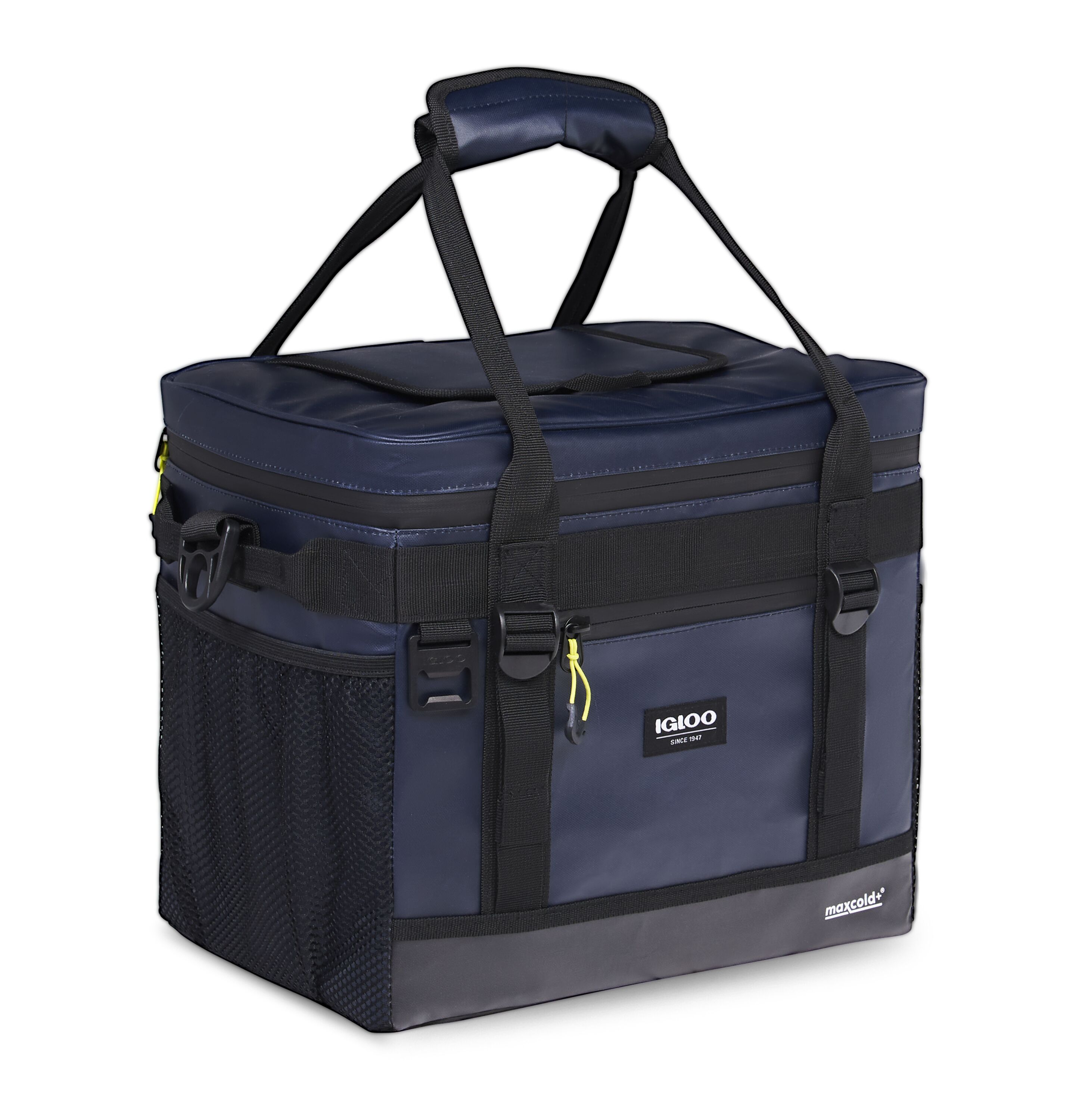 Igloo Rgd Blue/Black 24-Quart Insulated Bag Cooler 60450 at Lowes.com