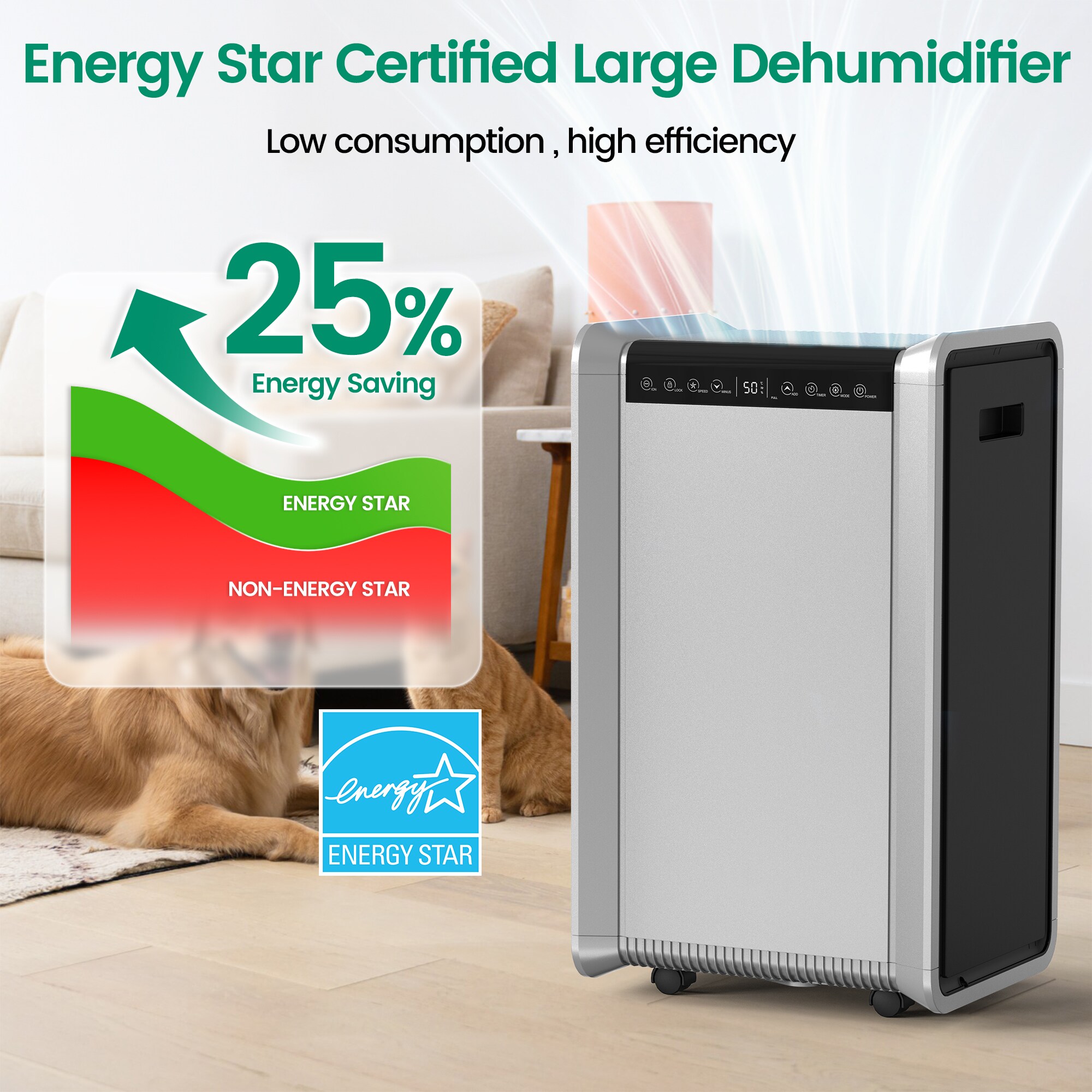 Phivve D024D t000099 - View #5