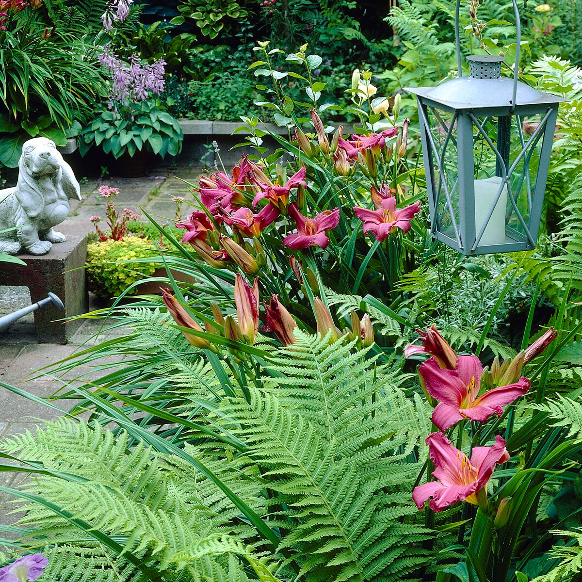 Van Zyverden 83410 Plant-Bulbs - View #3