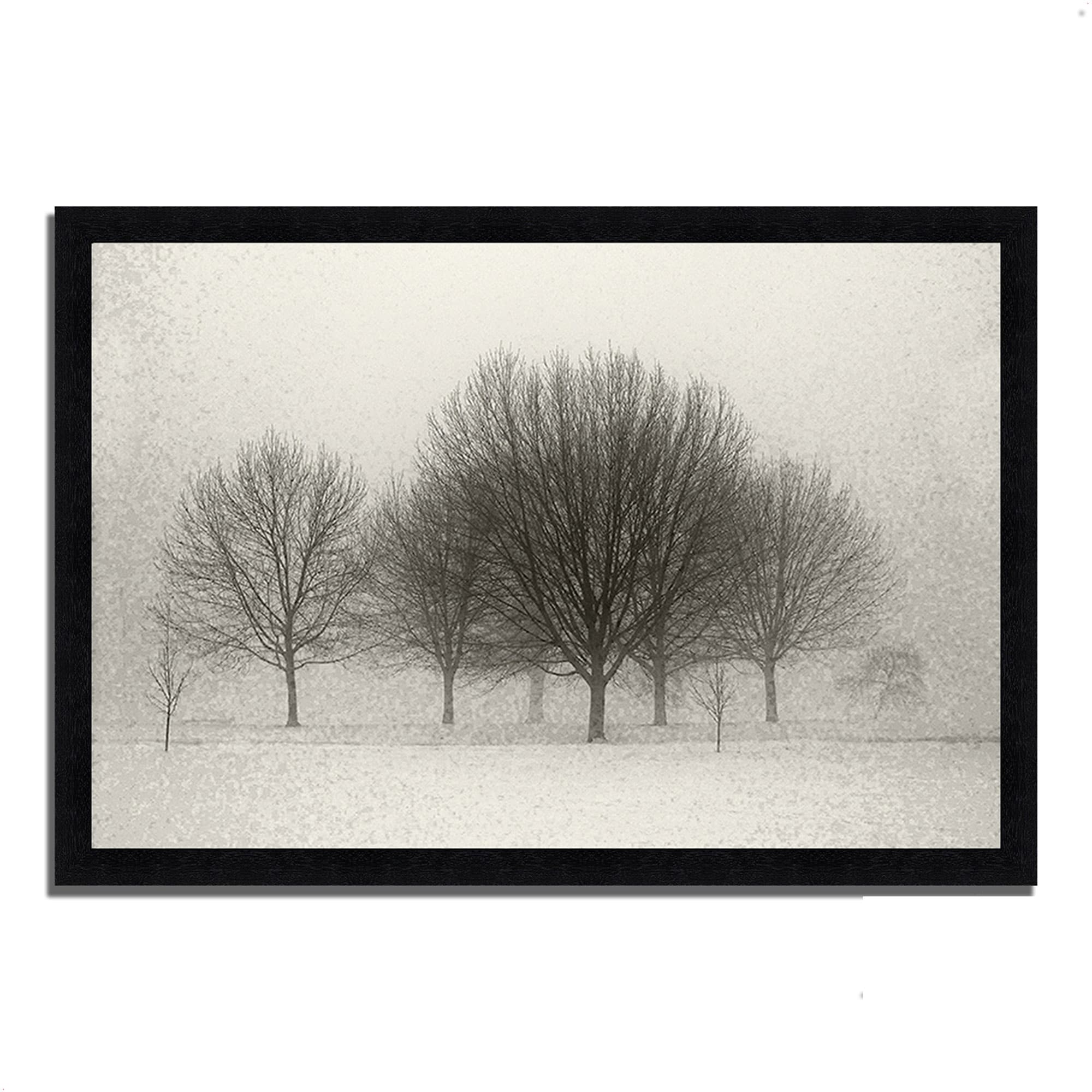 Tangletown Fine Art 12079-3020P110 Fading Memories Black Wood Framed 23-in H x 33-in W Landscape Paper Print