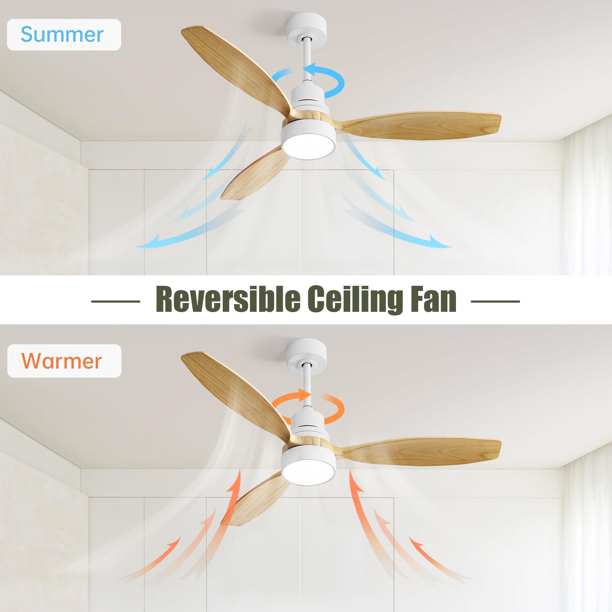 Bayfeve BFKS-46036-CF Ceiling-Fans - View #8