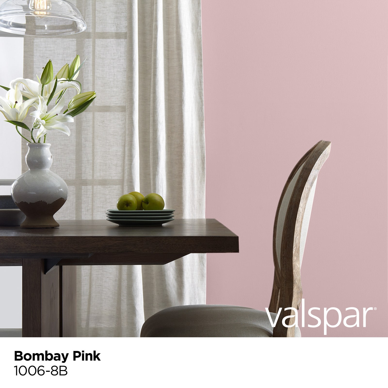 Valspar 4000 Semi-gloss Bombay Pink 1006-8b Latex Interior Paint (5-Gallon)  in the Interior Paint department at