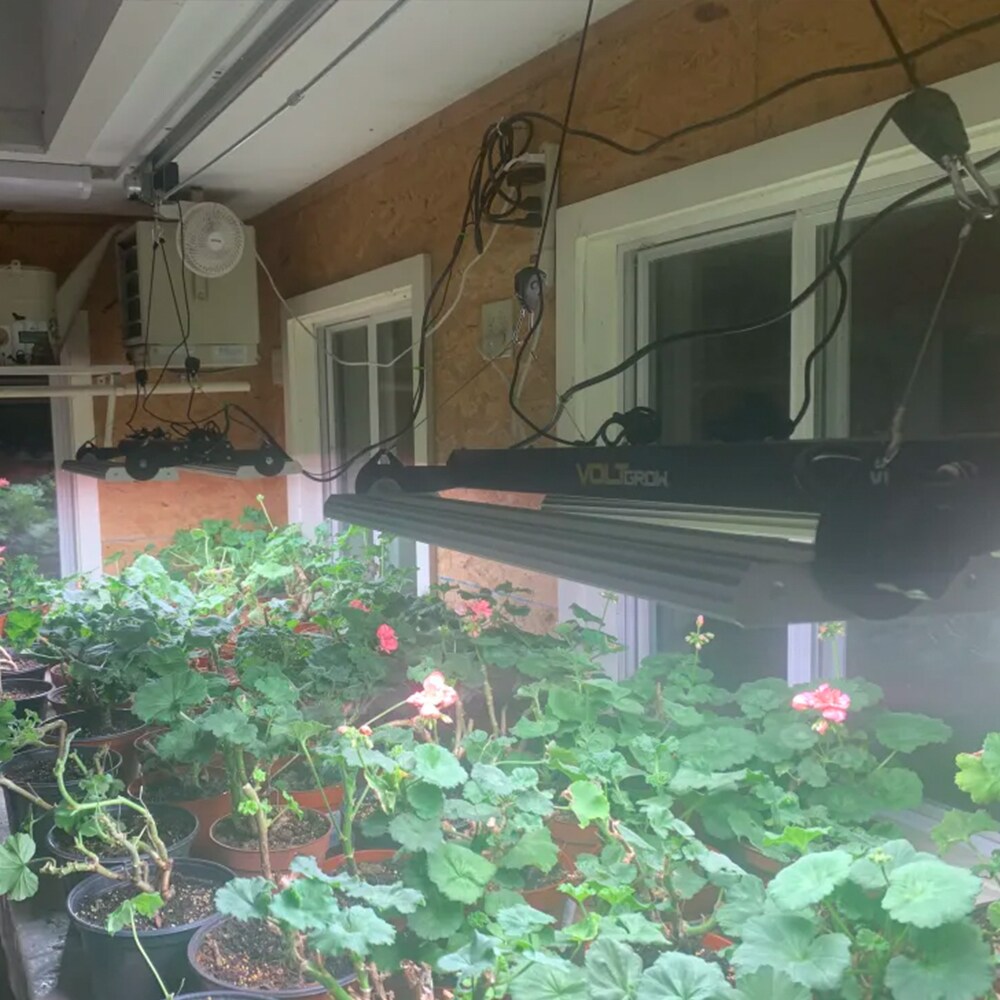 VOLT LOWGL-003 Grow-Lights - View #9