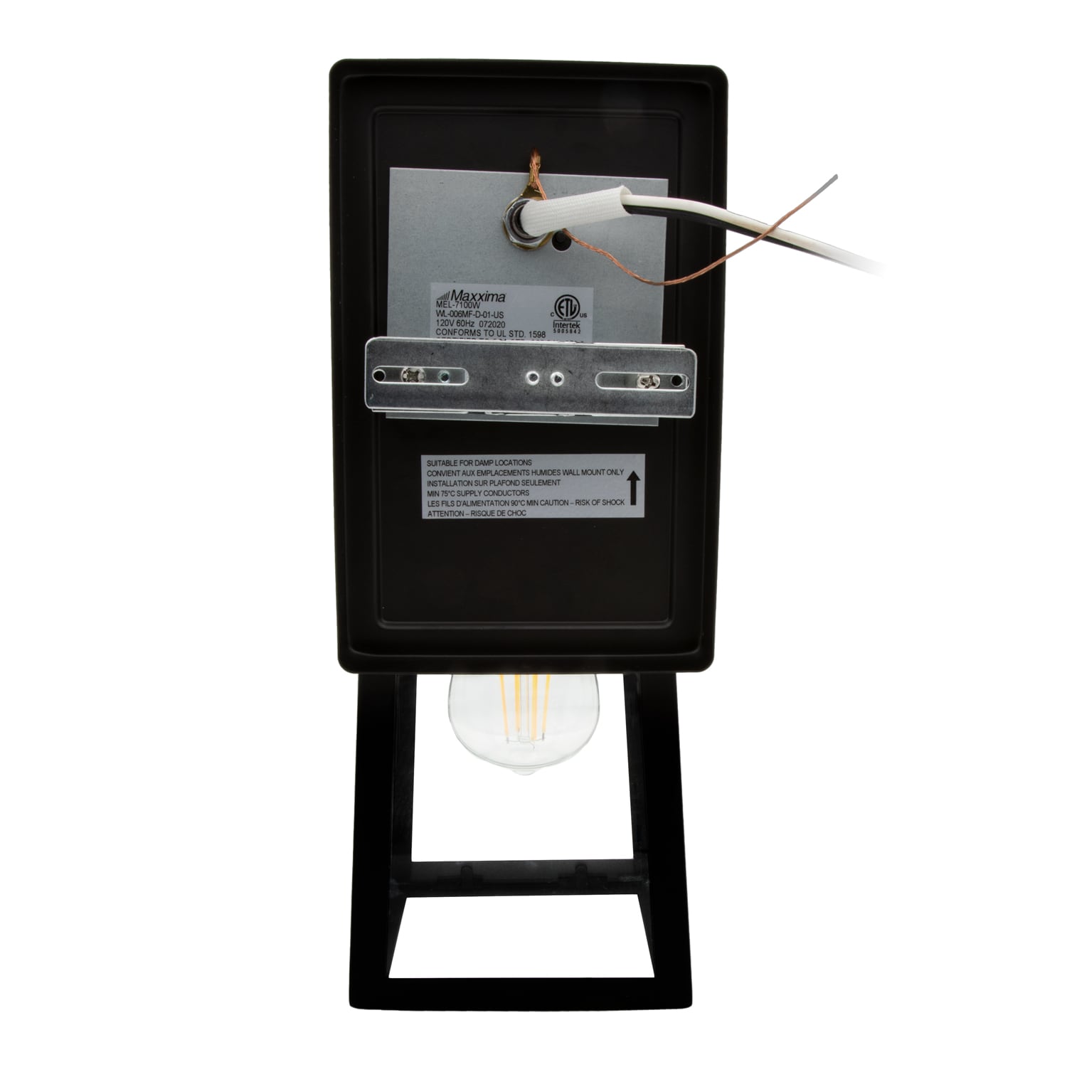 Black Metal and Clear Glass LED Outdoor Wall Sconce