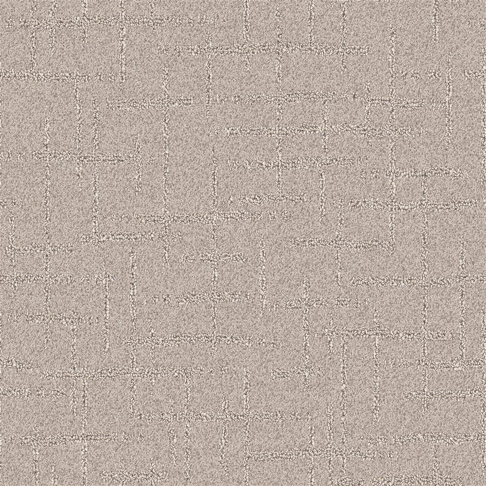 STAINMASTER PetProtect LU771-9513A (Sample) Animal Kingdom Coastal Landscape Brown 35-oz sq yard Nylon Pattern Indoor Carpet