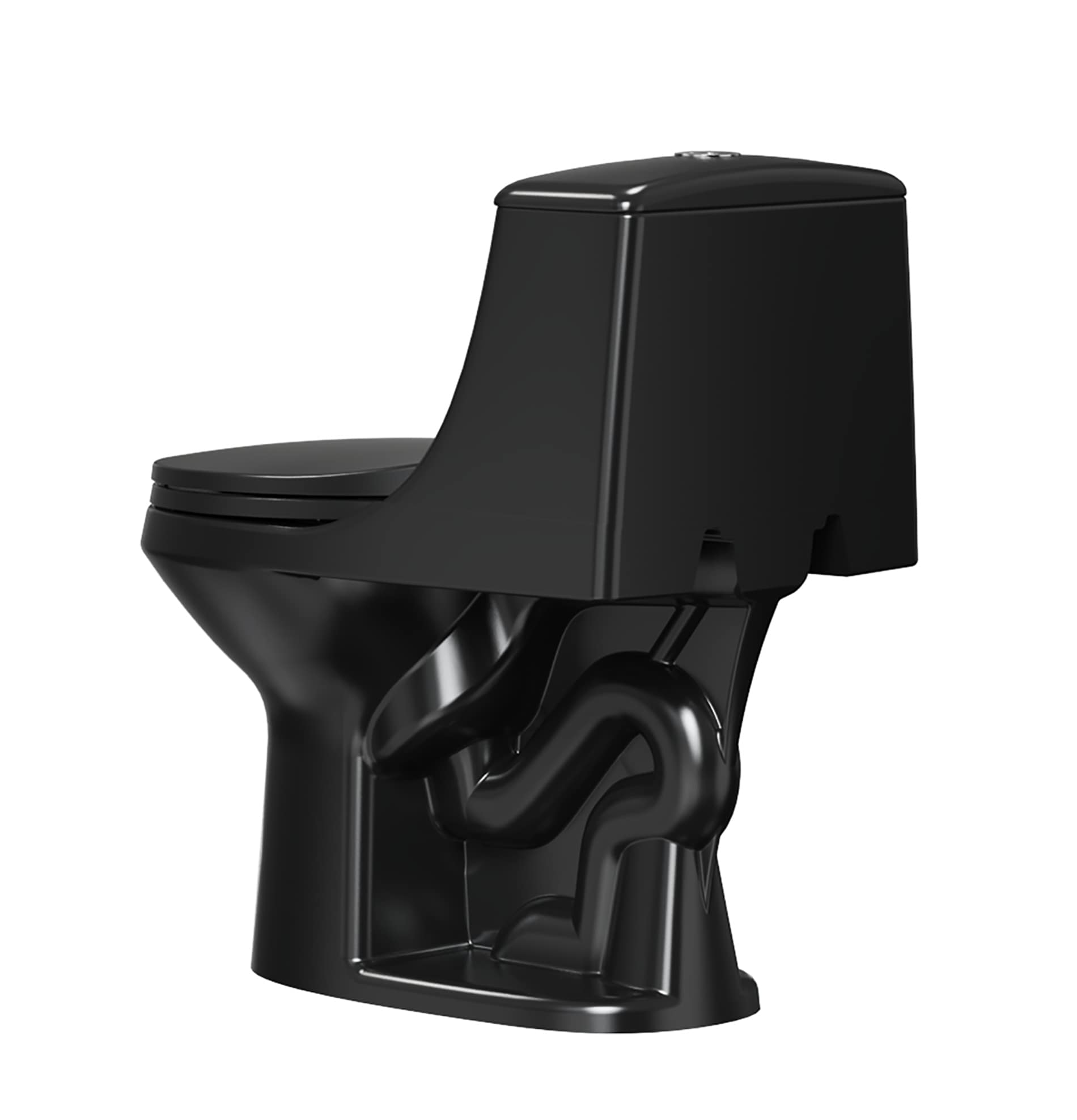 Project Source Laporte Dual Flush Black Dual Elongated Chair