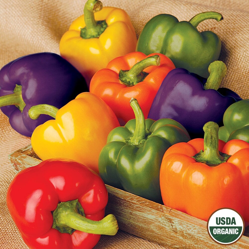 Ferry-Morse LC25.9567 Vegetable-Herb-Seeds - View #3