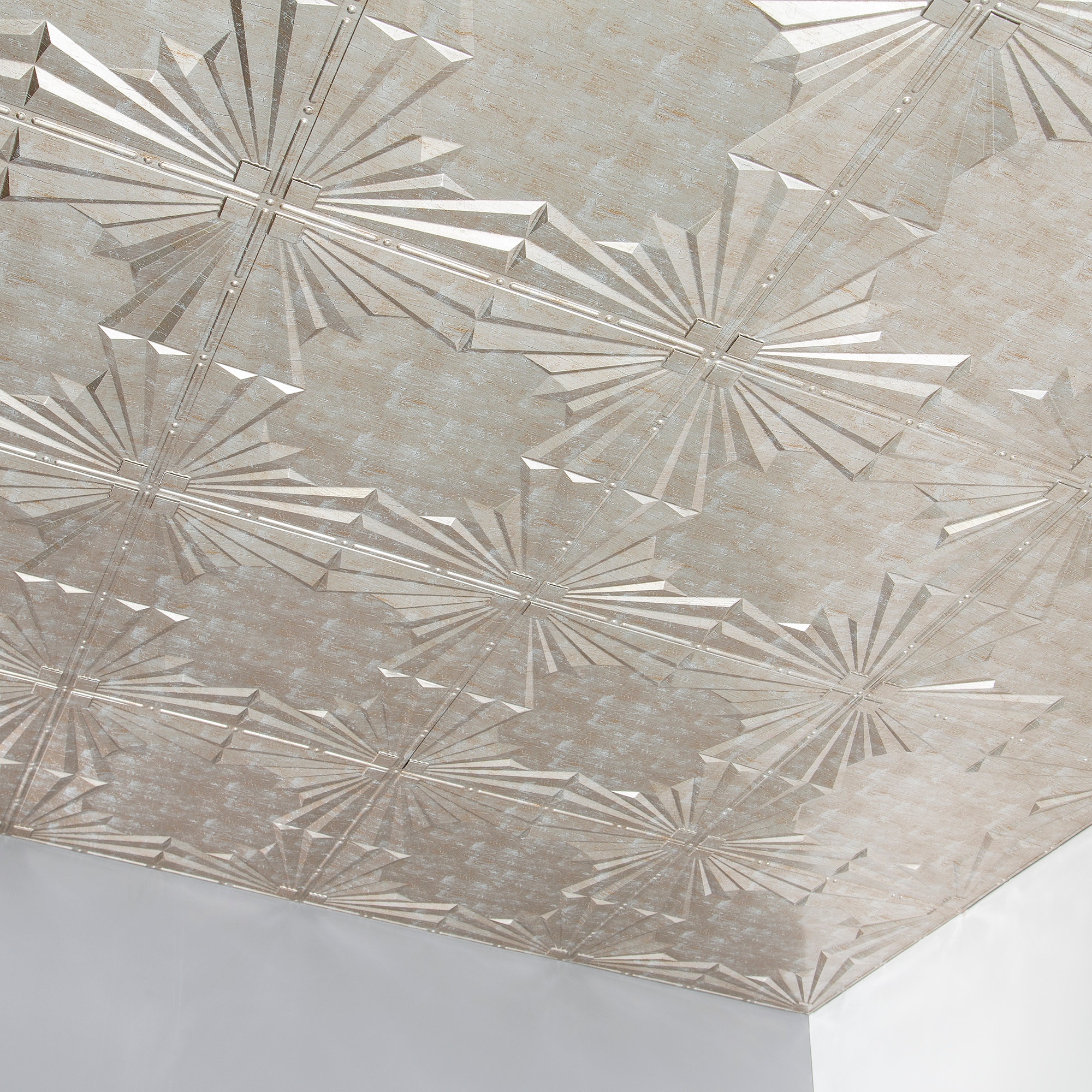 Fasade PG5534 Ceiling-Tile - View #3