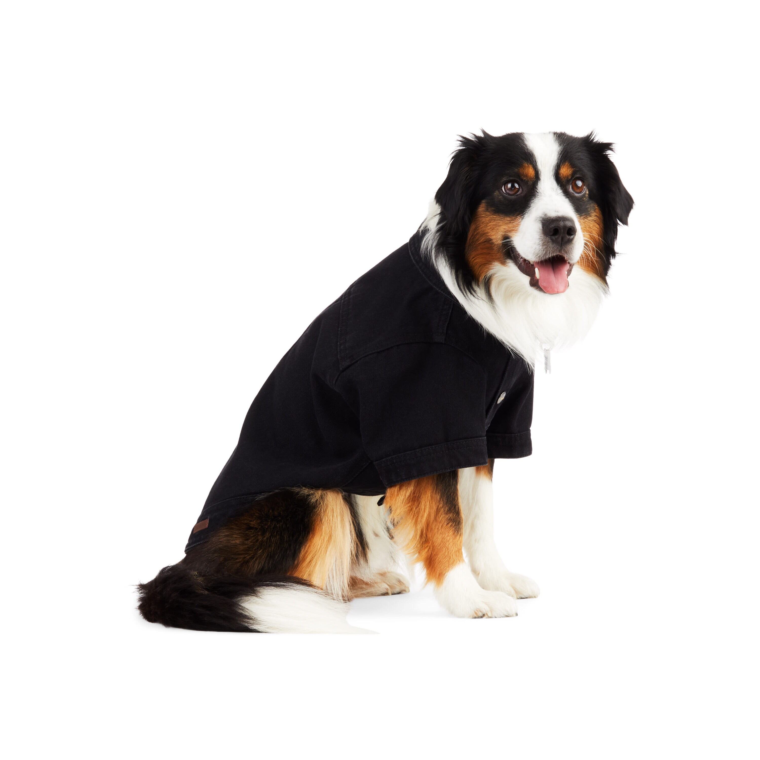 Reddy PTY-23050118XL Dog-Clothing-Acc - View #3