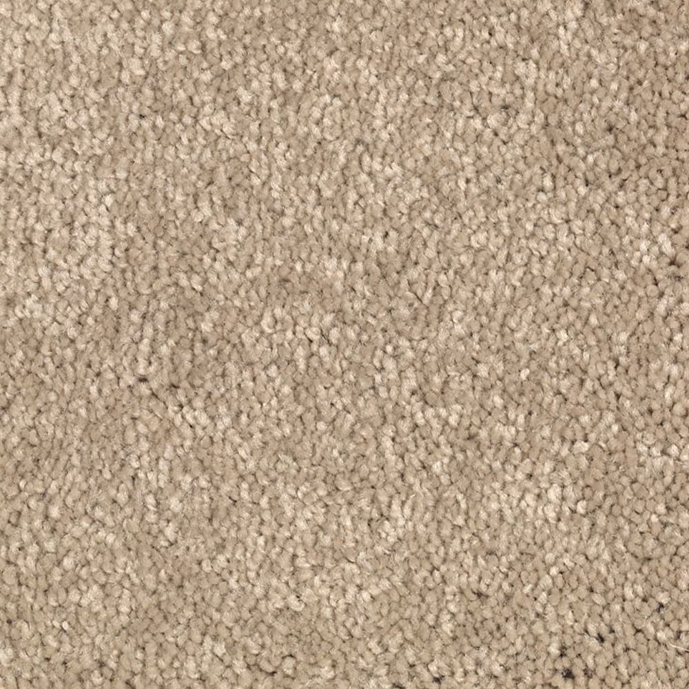 STAINMASTER Uptown trend I Corinthian Textured Indoor Carpet in the ...