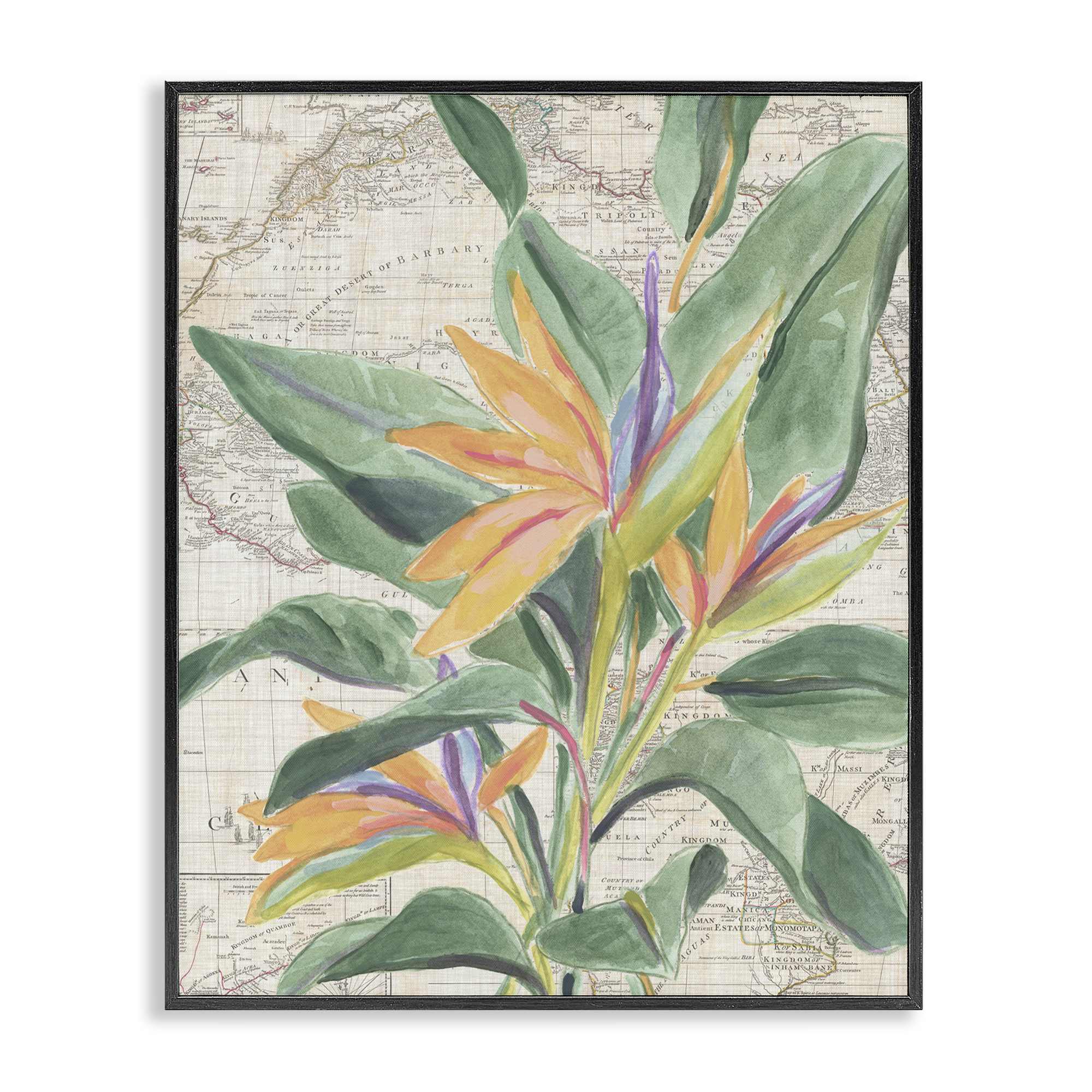 Stupell Industries BS-388-FR-16X20 Tropical Flower over Map Black Framed Giclee Art By June Erica Vess 16 x 20