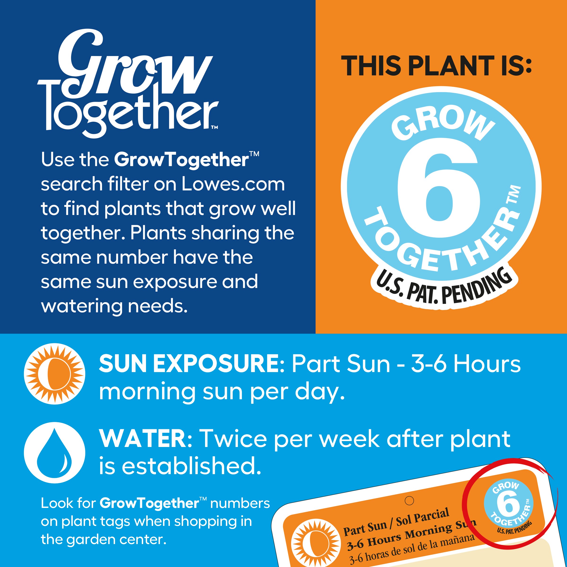 Lowe's 5331682 annuals - View #4