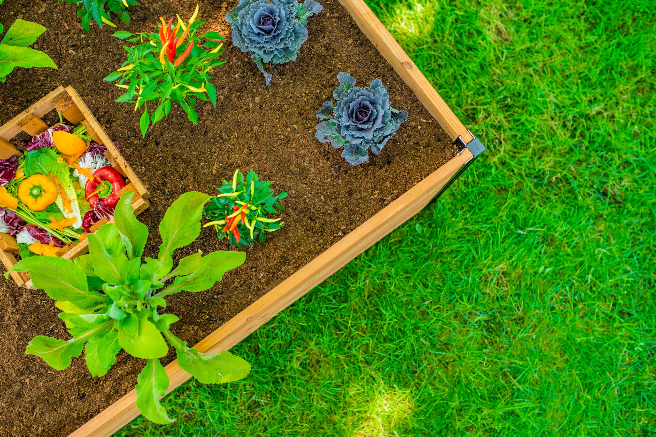Vita VT17701 Raised-Garden-Beds - View #5