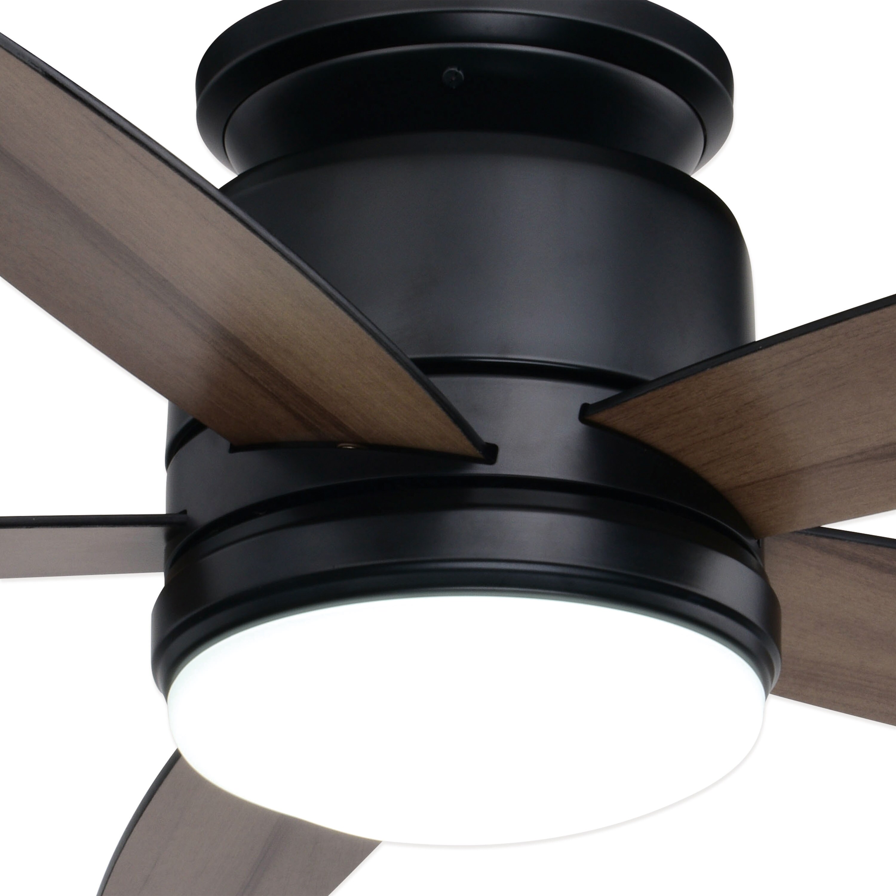 Cascadia F0118 Ceiling-Fans - View #9