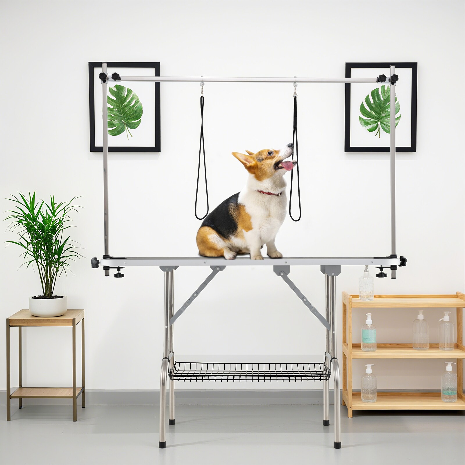 Slickblue D-CO-KB87001UP Pet-Grooming-Supplies - View #5