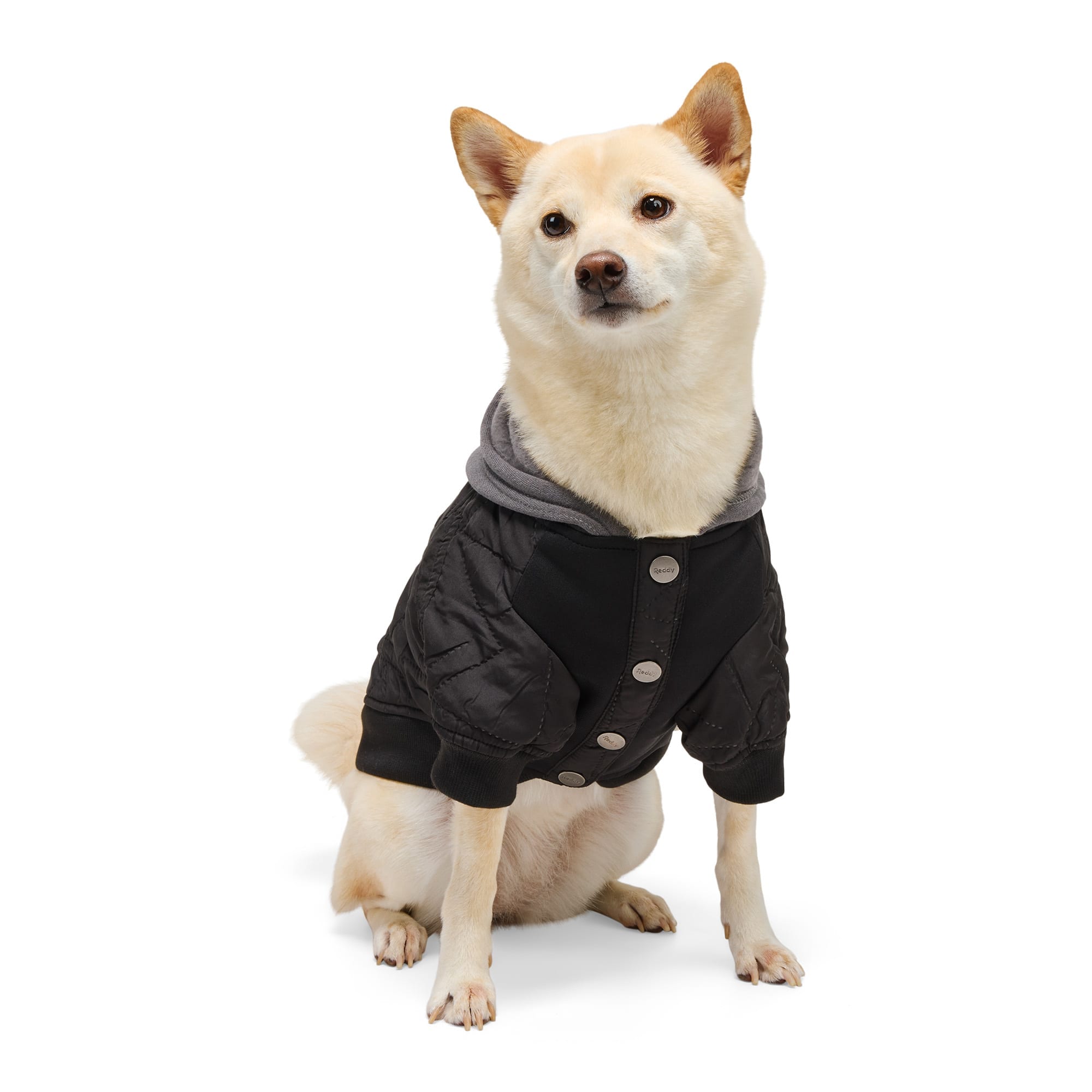 Reddy 24P225-LG Dog-Clothing-Acc - View #2