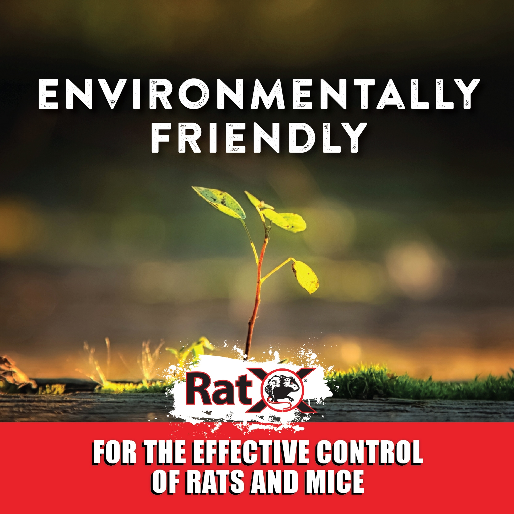 Shop RatX RatX Rat and Mice Bait Station with Discs at