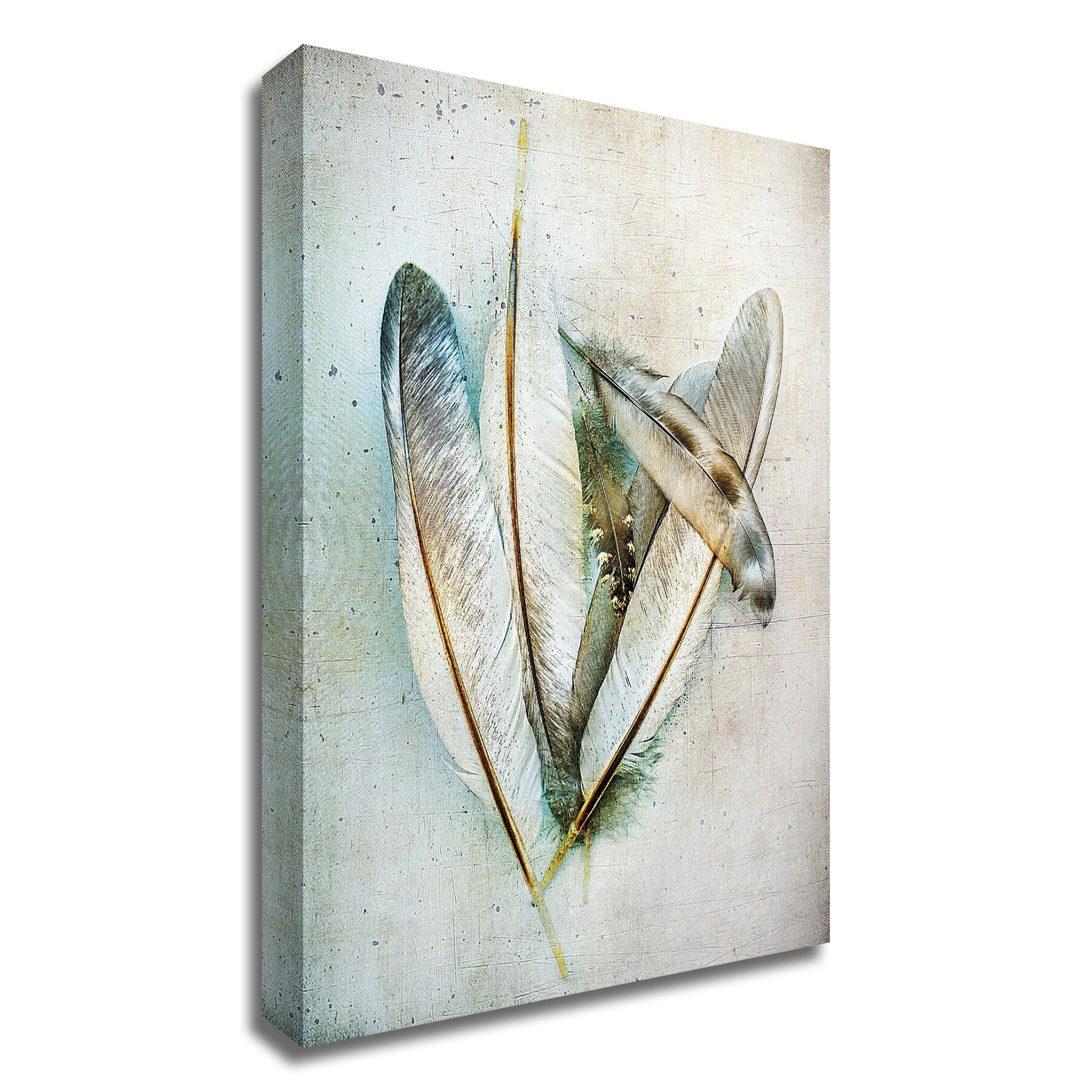 Tangletown Fine Art 8W938DC-1419 Hen Feathers Kathy Wolfe 19-in H x 14-in W Animals Print on Canvas