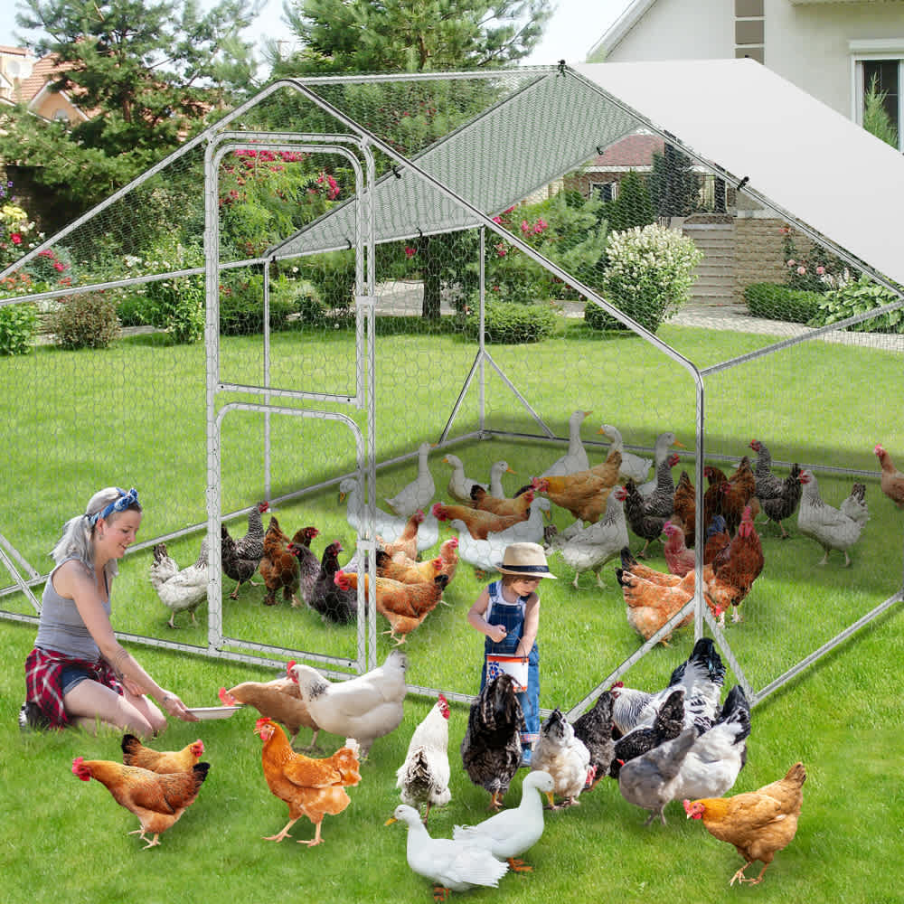 Qeetex WLS-PHO-15UBWLJ4 Chicken-Coops-Rabbit-Hutches - View #6