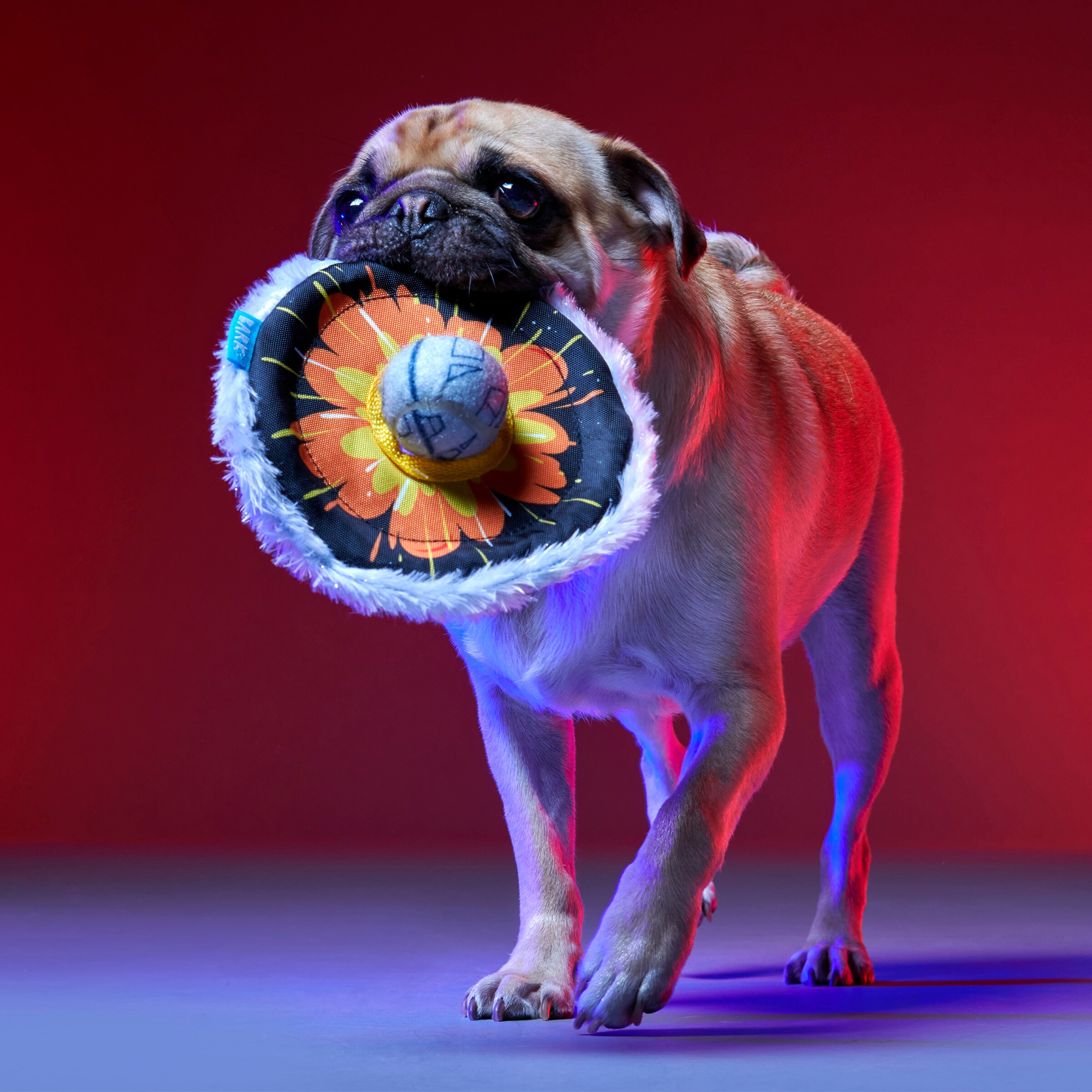 BARK 214201 Dog-Toys - View #5