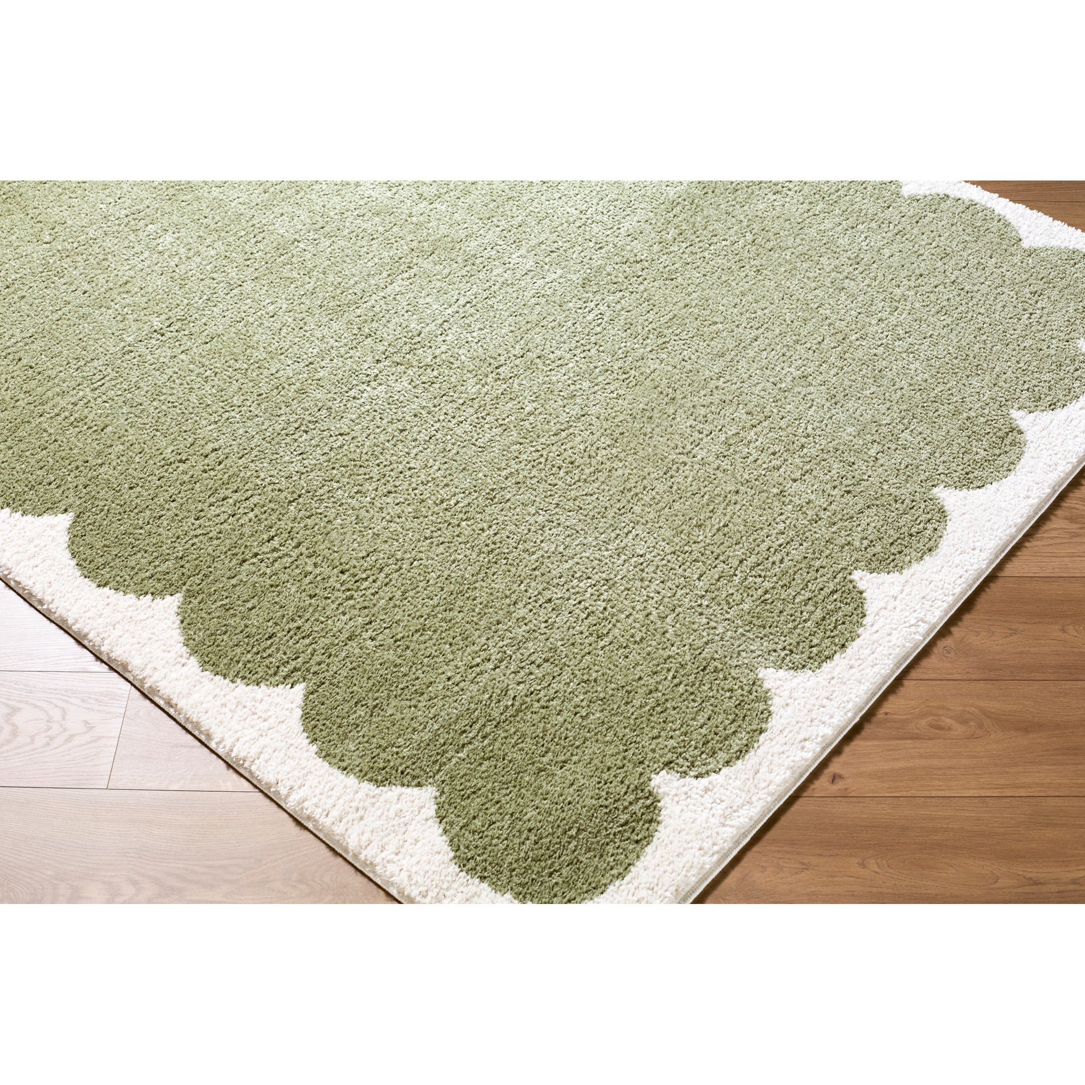 Livabliss EDRV2303-679 rugs - View #9