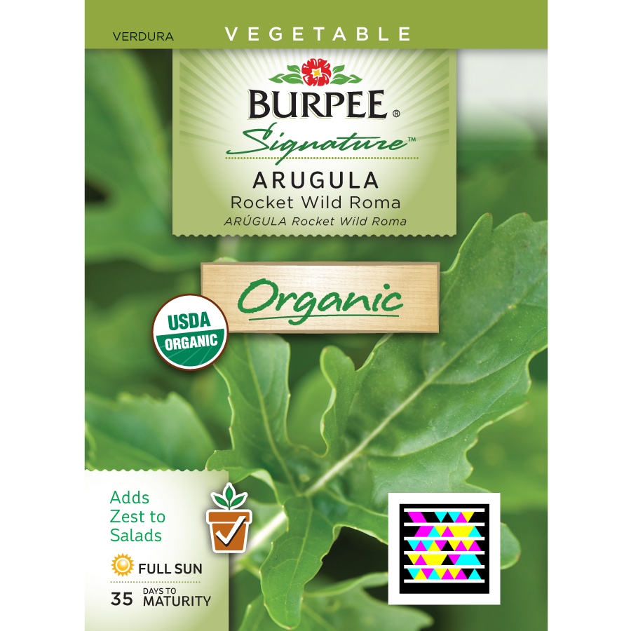 Roquette Lettuce Arugula Seeds - 100 Count Seed Pack - an Incredibly  Fast-Growing Cool Season Crop That adds a Fresh Spicy Kick to Salads and