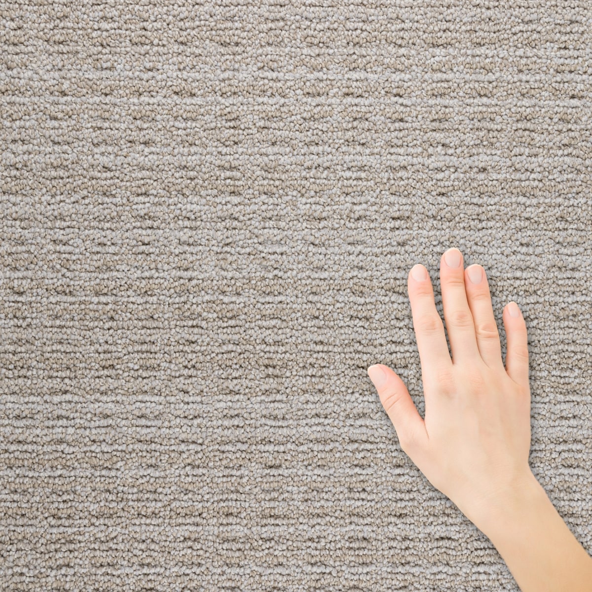 STAINMASTER L5023-8047-1200-AB Carpet-Panel - View #3
