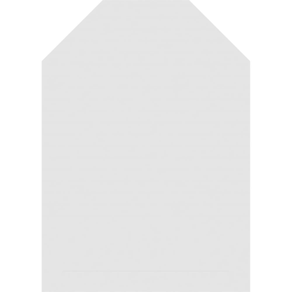 Ekena Millwork GVPOT16X2803SN Gable-Vents - View #4