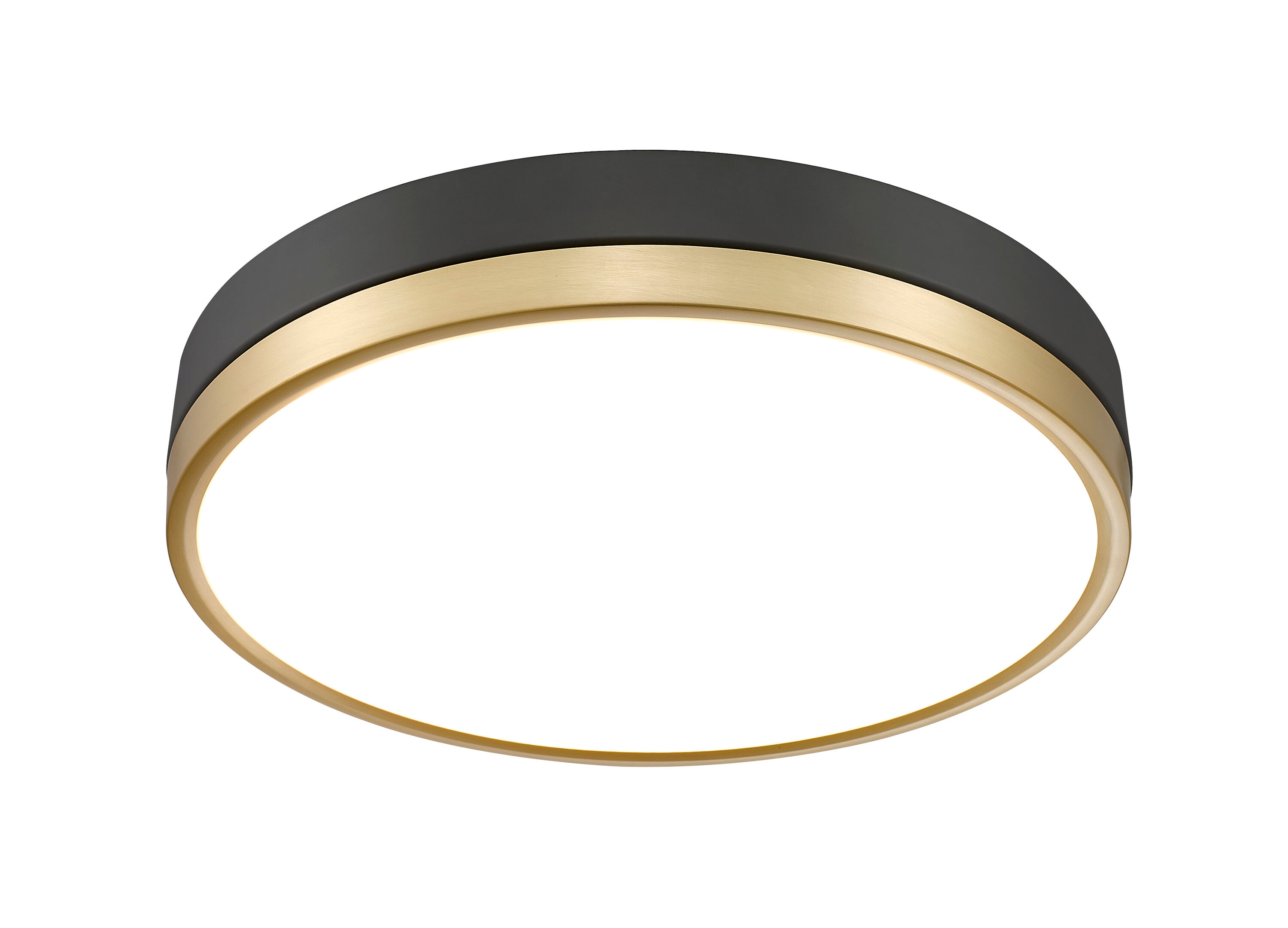 Z-Lite 1006F16-MB-MGLD-LED flushmounts - View #5