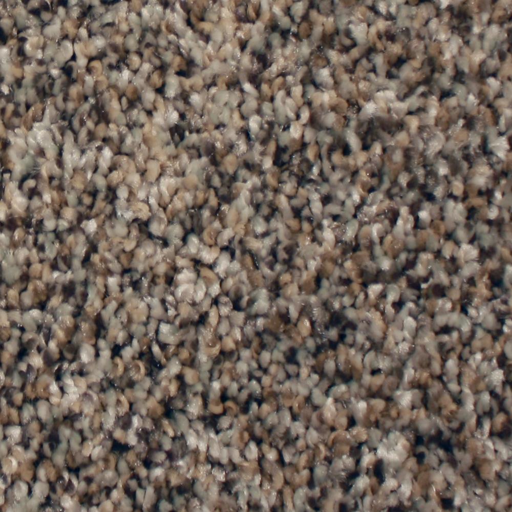STAINMASTER S8060-15-1200-AB (Sample) Essentials Channing Island Trail Textured Carpet