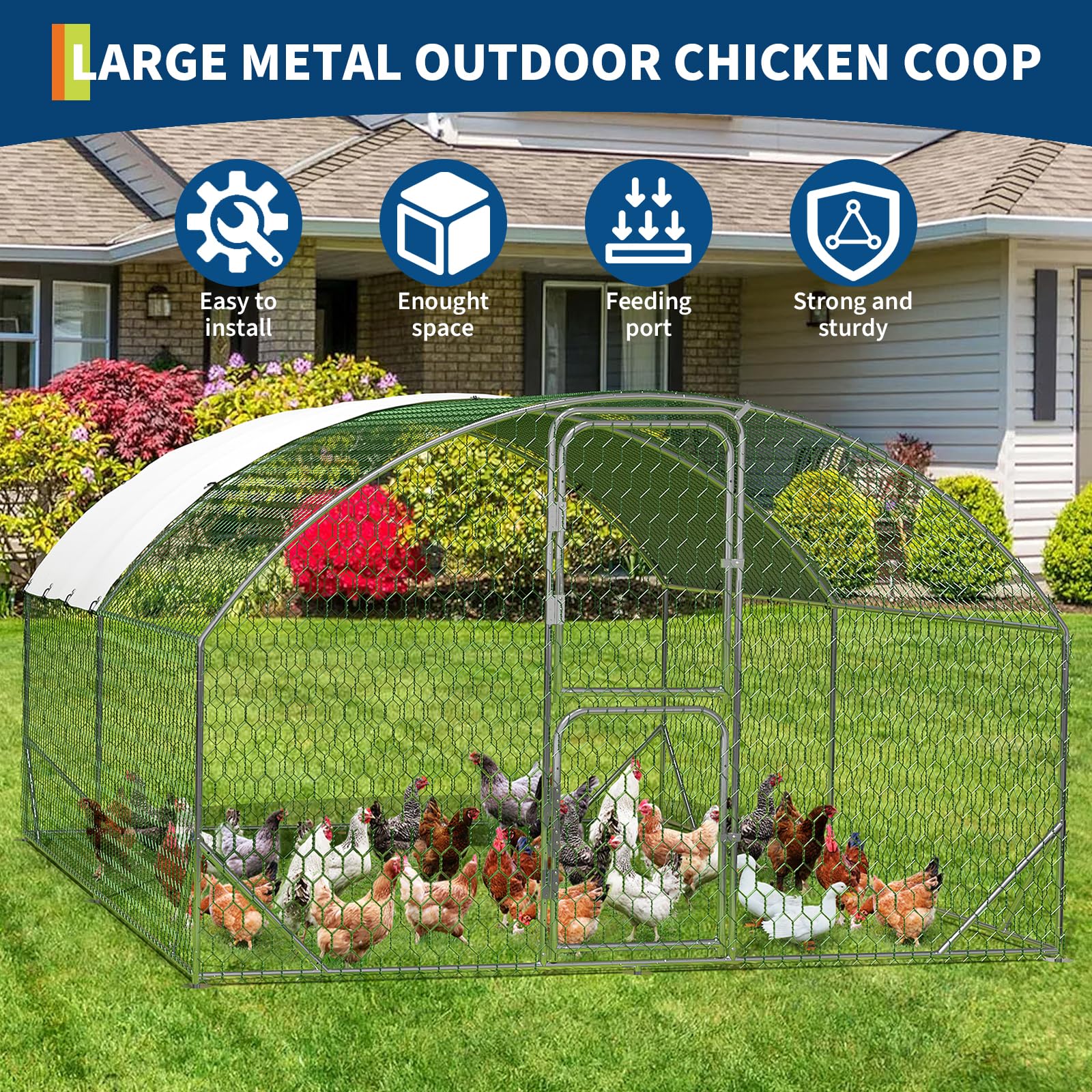 DEXSO ENCOREPPGBA9162 Chicken-Coops-Rabbit-Hutches - View #7