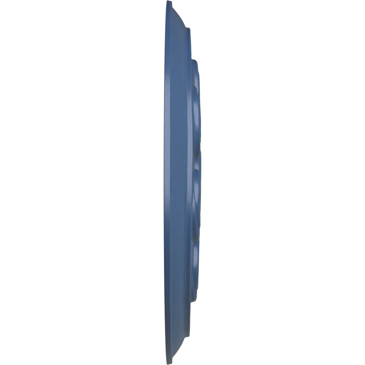 Ekena Millwork CM25SPAMF Ceiling-Medallions - View #3