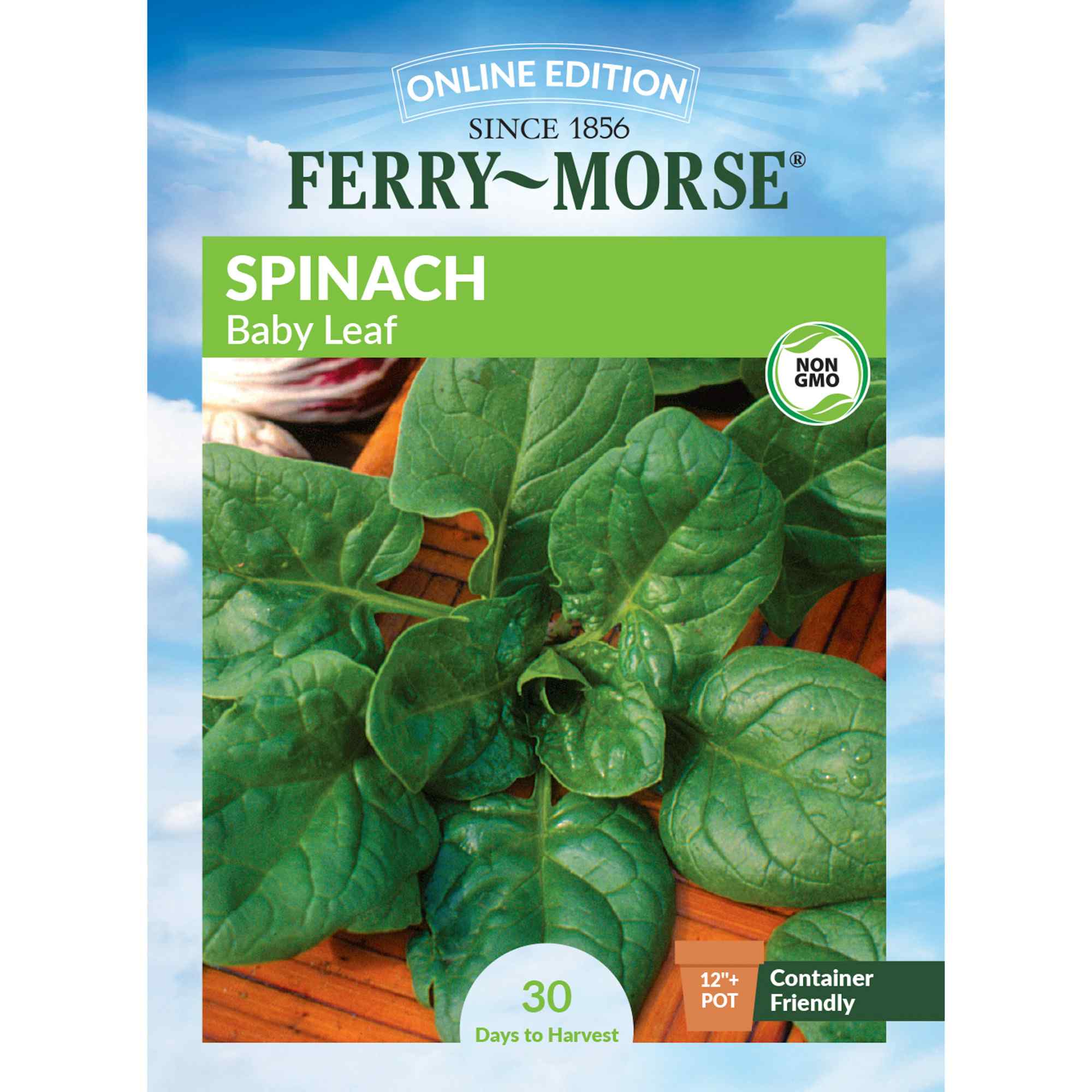 Ferry-Morse LC25.2319 Spinach Seeds 2.6 Gram(s)