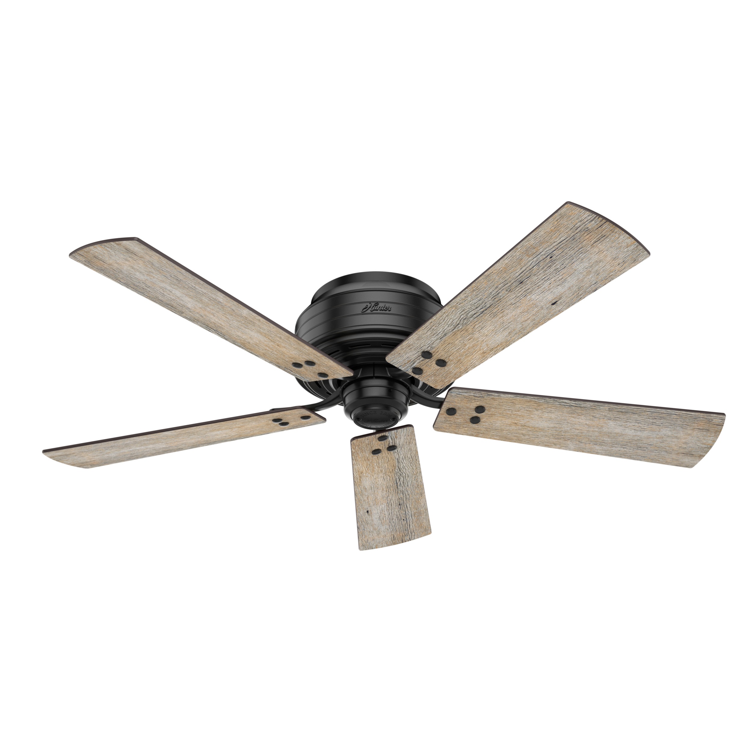 Hunter 55080 Ceiling-Fans - View #15